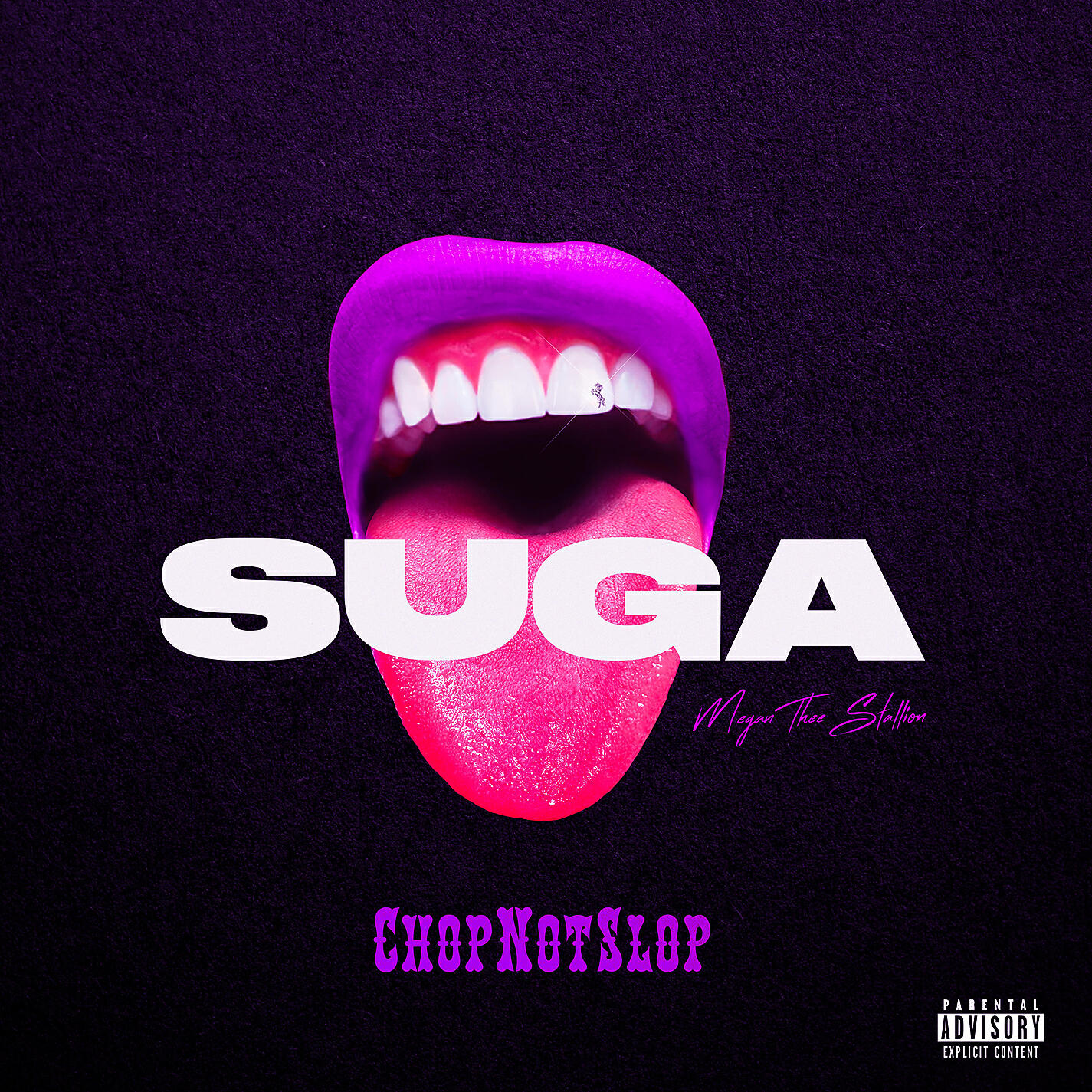 Megan Thee Stallion - Captain Hook (Chopnotslop Remix)