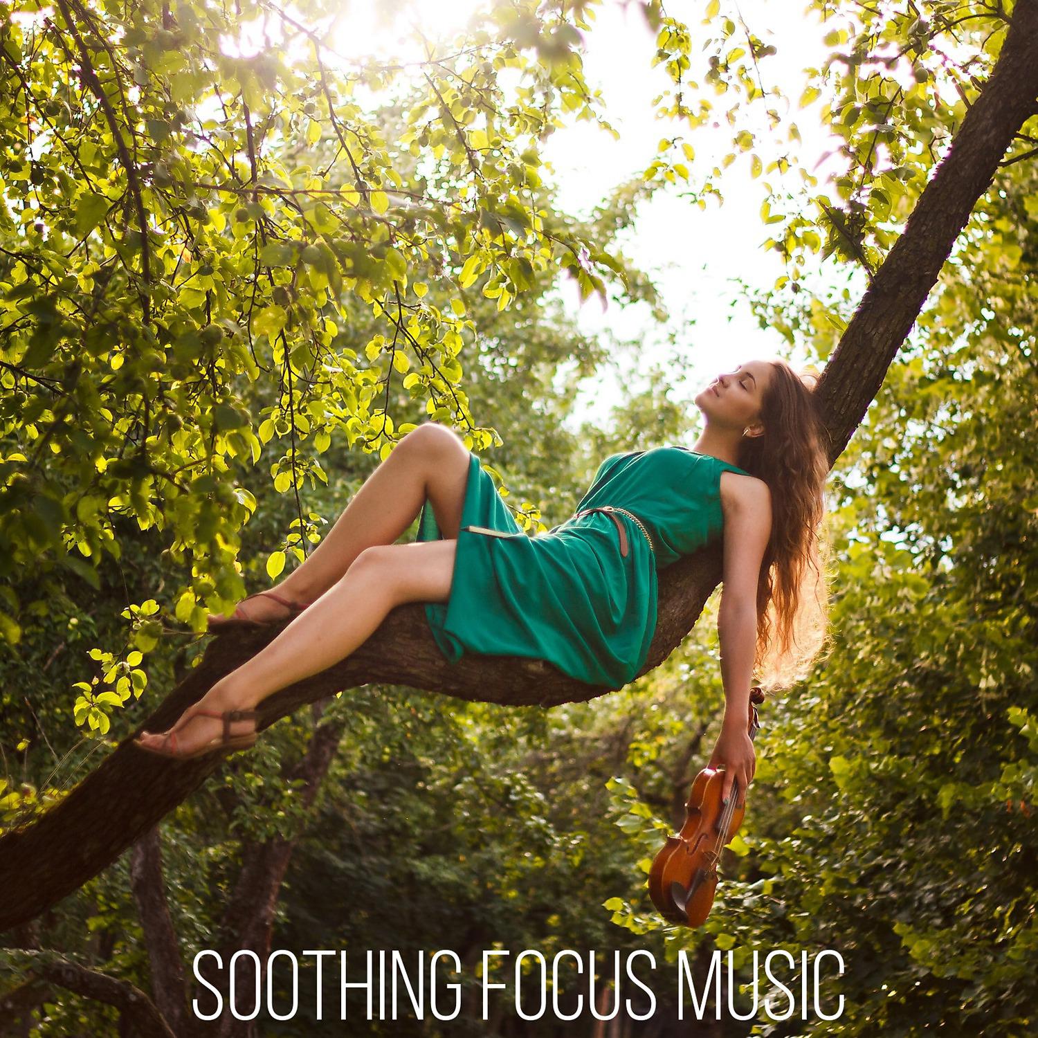 Постер альбома Soothing Focus Music