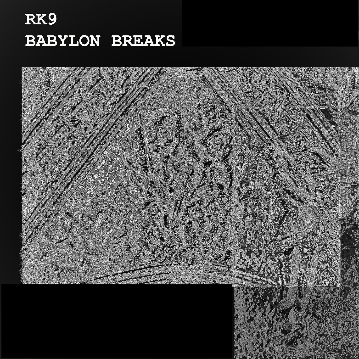 RK9 - Wittness Babylon