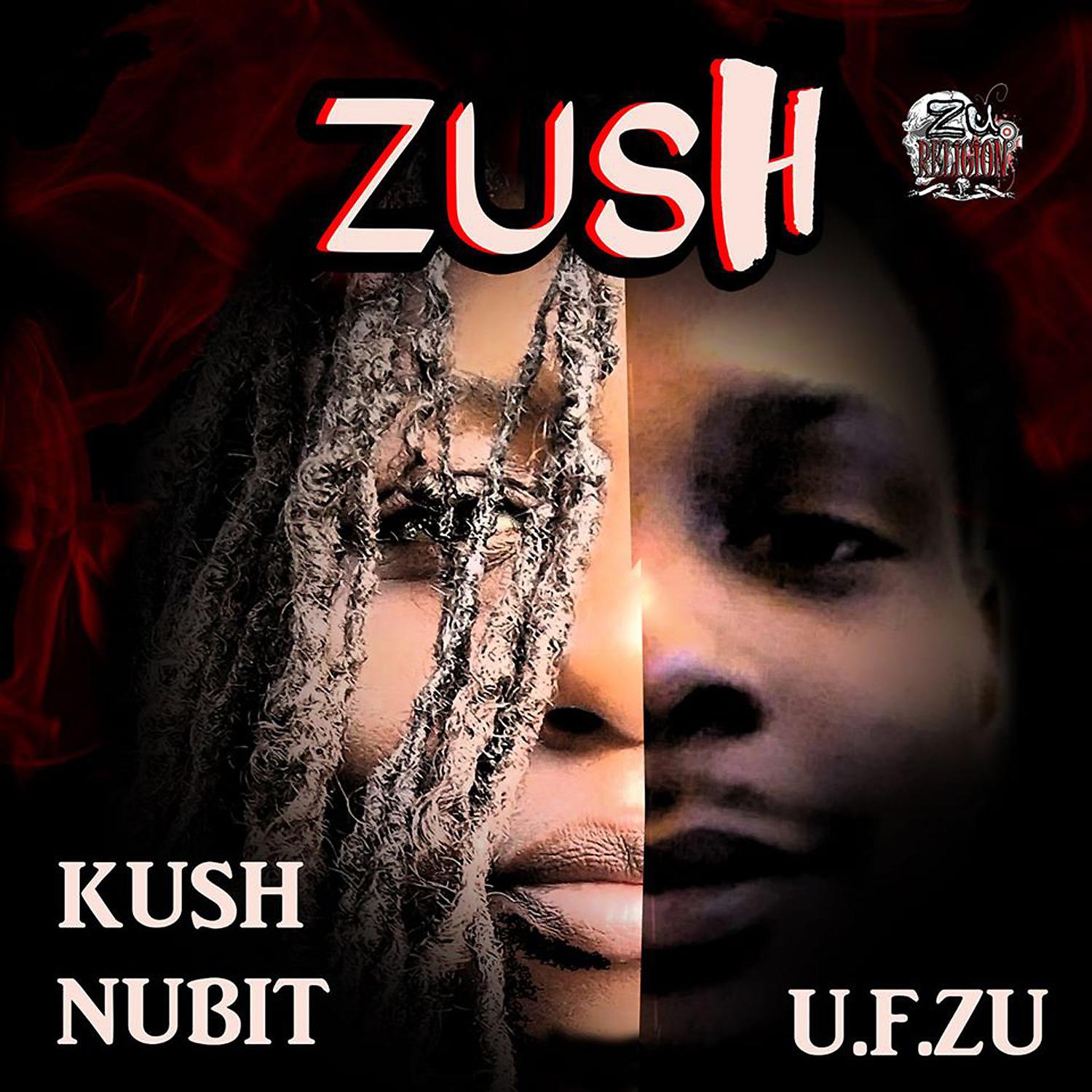 Постер альбома Zush