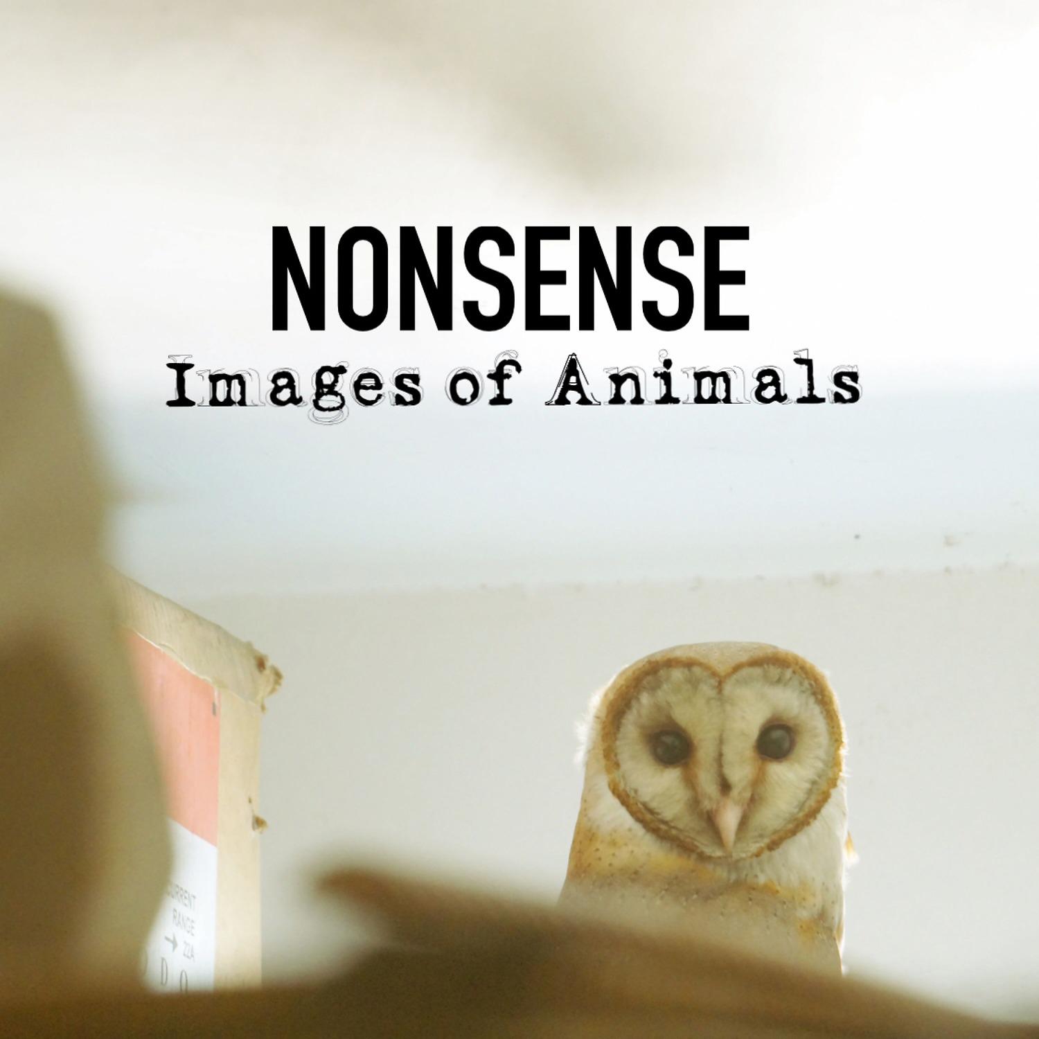 Постер альбома Images of Animals