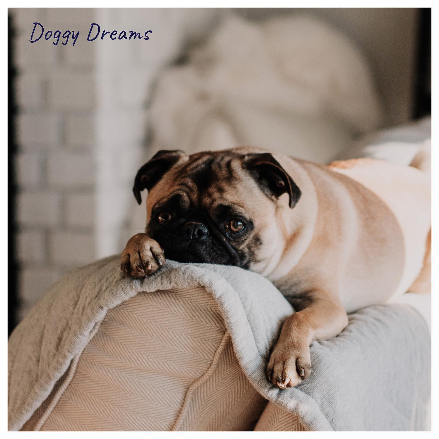 Постер альбома Doggy Dreams