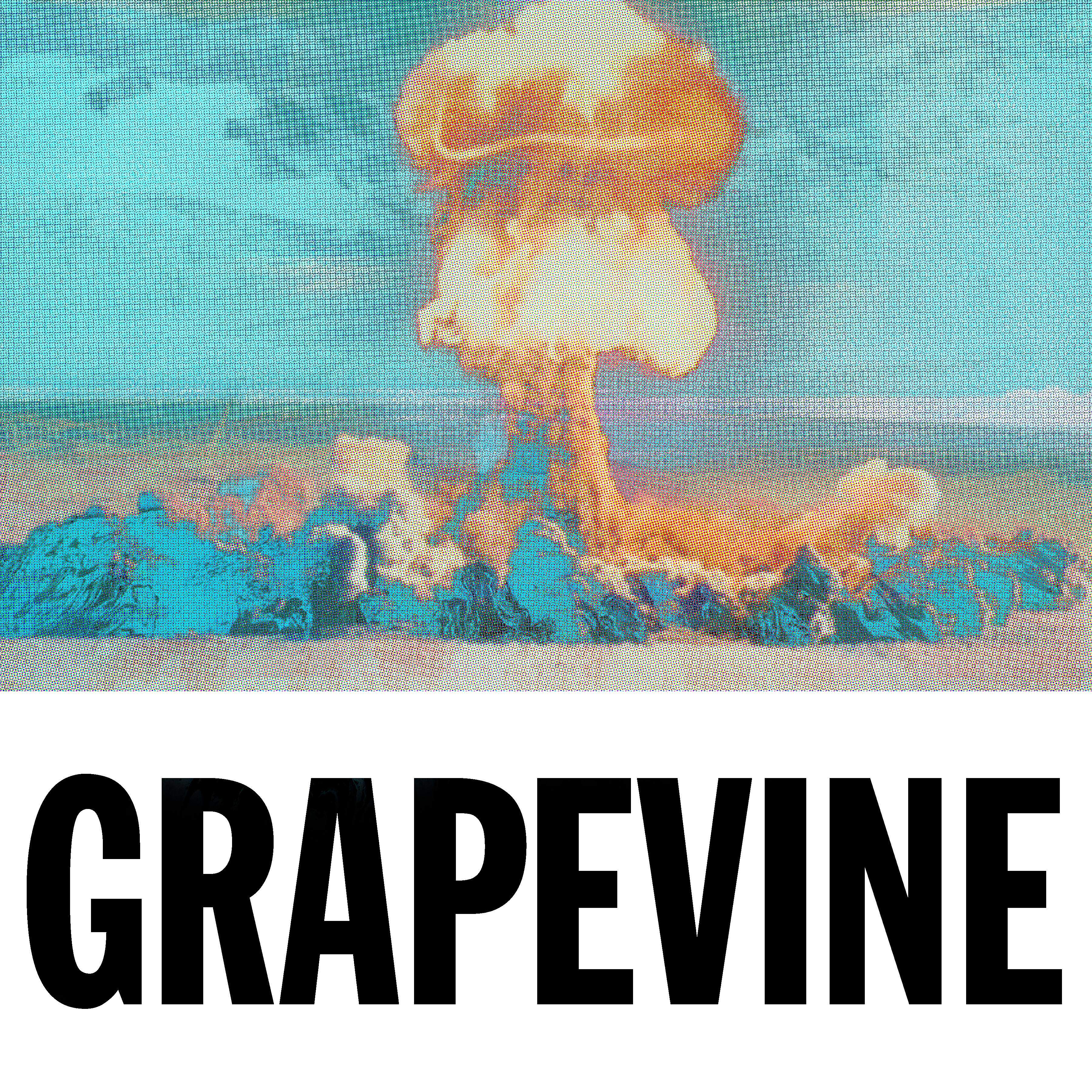 Постер альбома Grapevine (The Remixes)