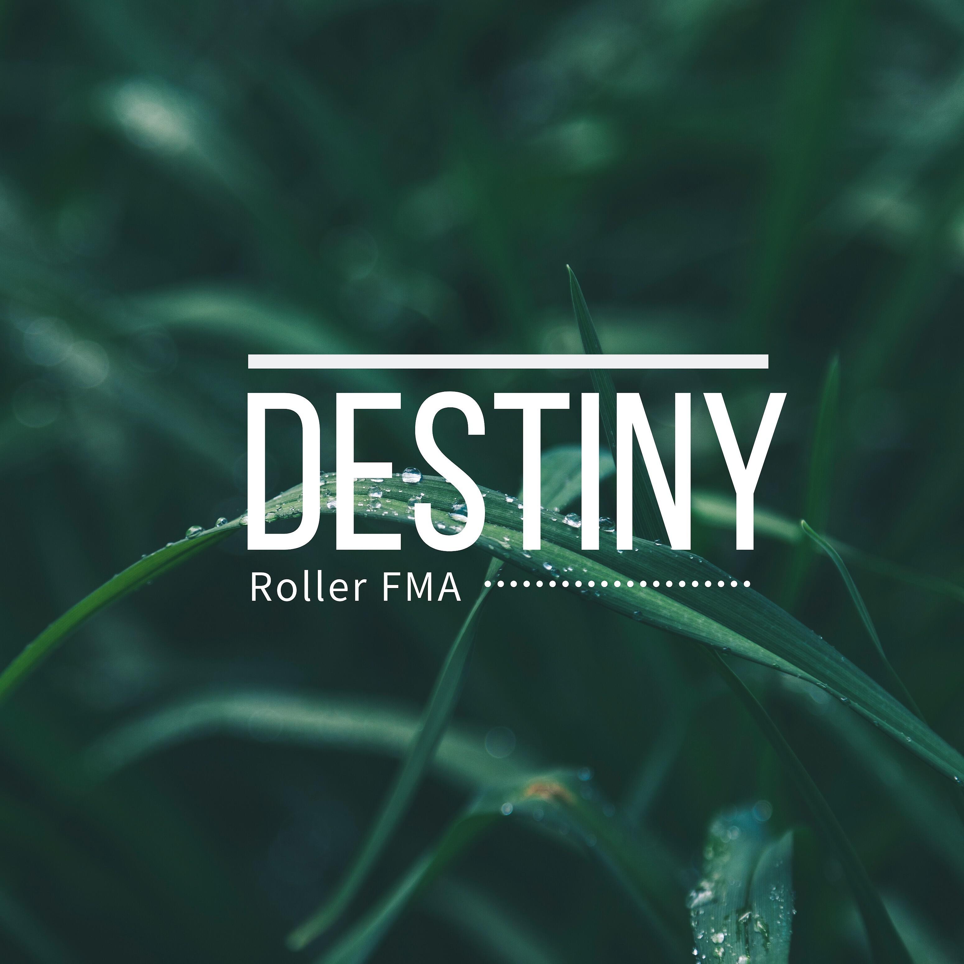 Roller FMA - Destiny