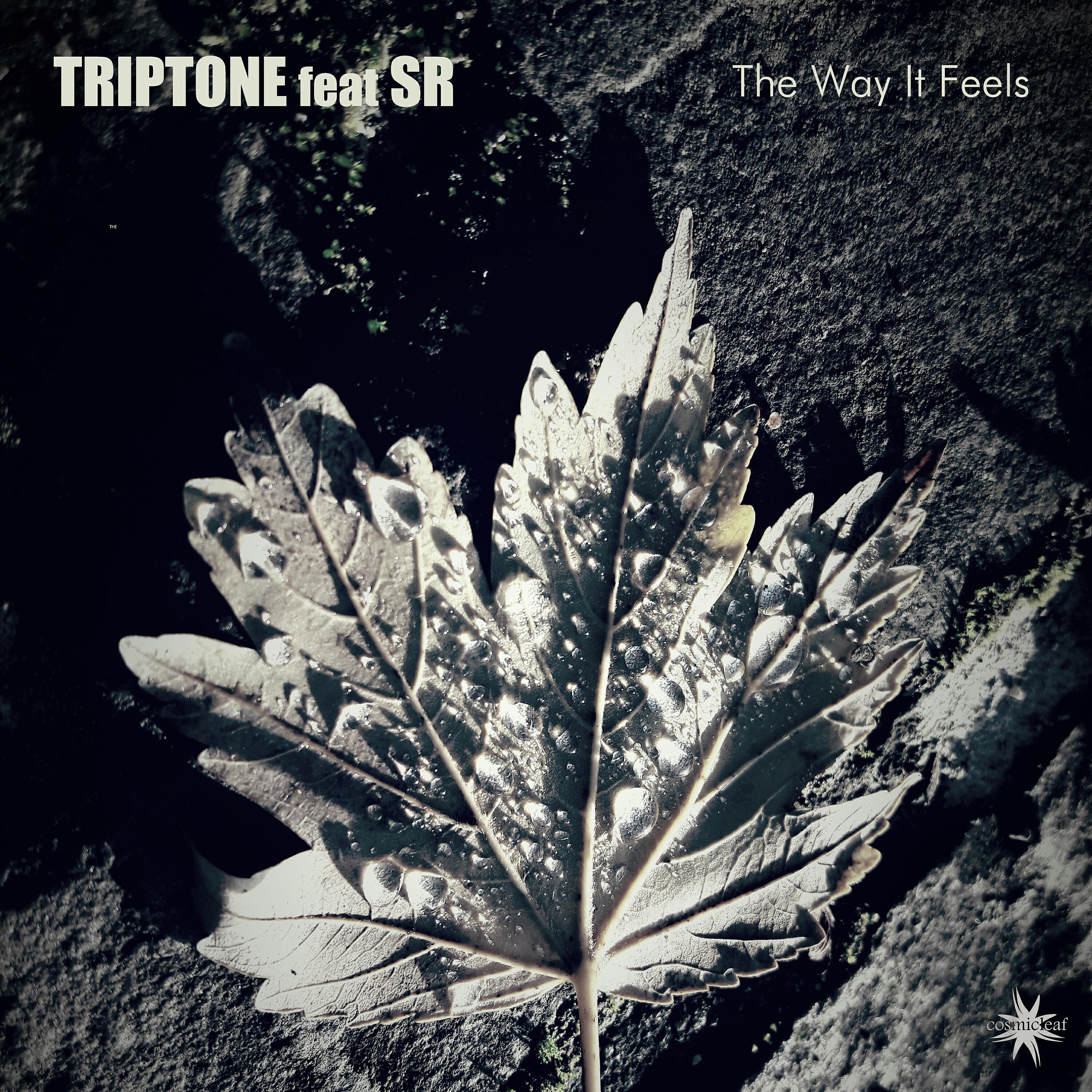 Triptone - The Way It Feels (Emil Eliav Remix)