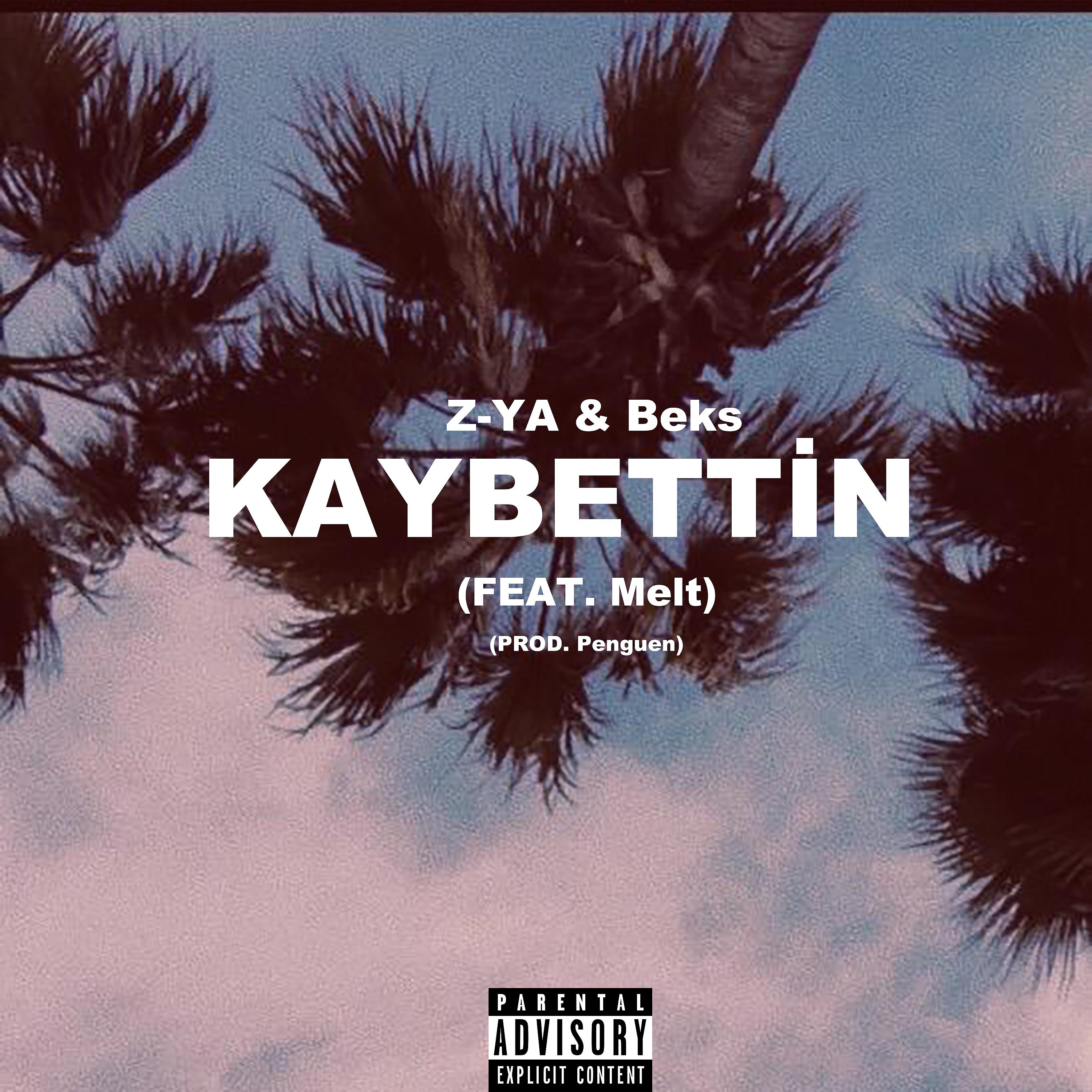 Постер альбома Kaybettin