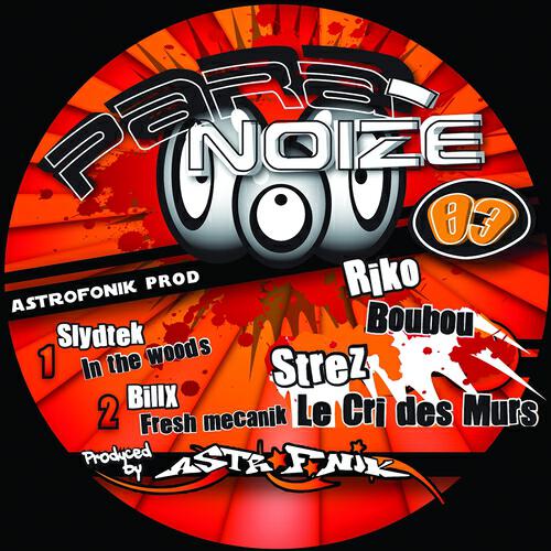 Strez - Le cri des murs