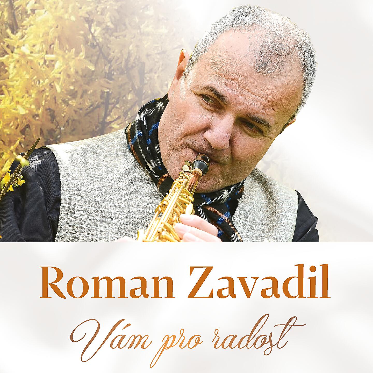 Roman Zavadil - Bude večer