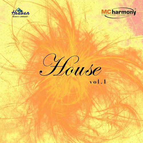 Manlio Cangelli - Rock the House