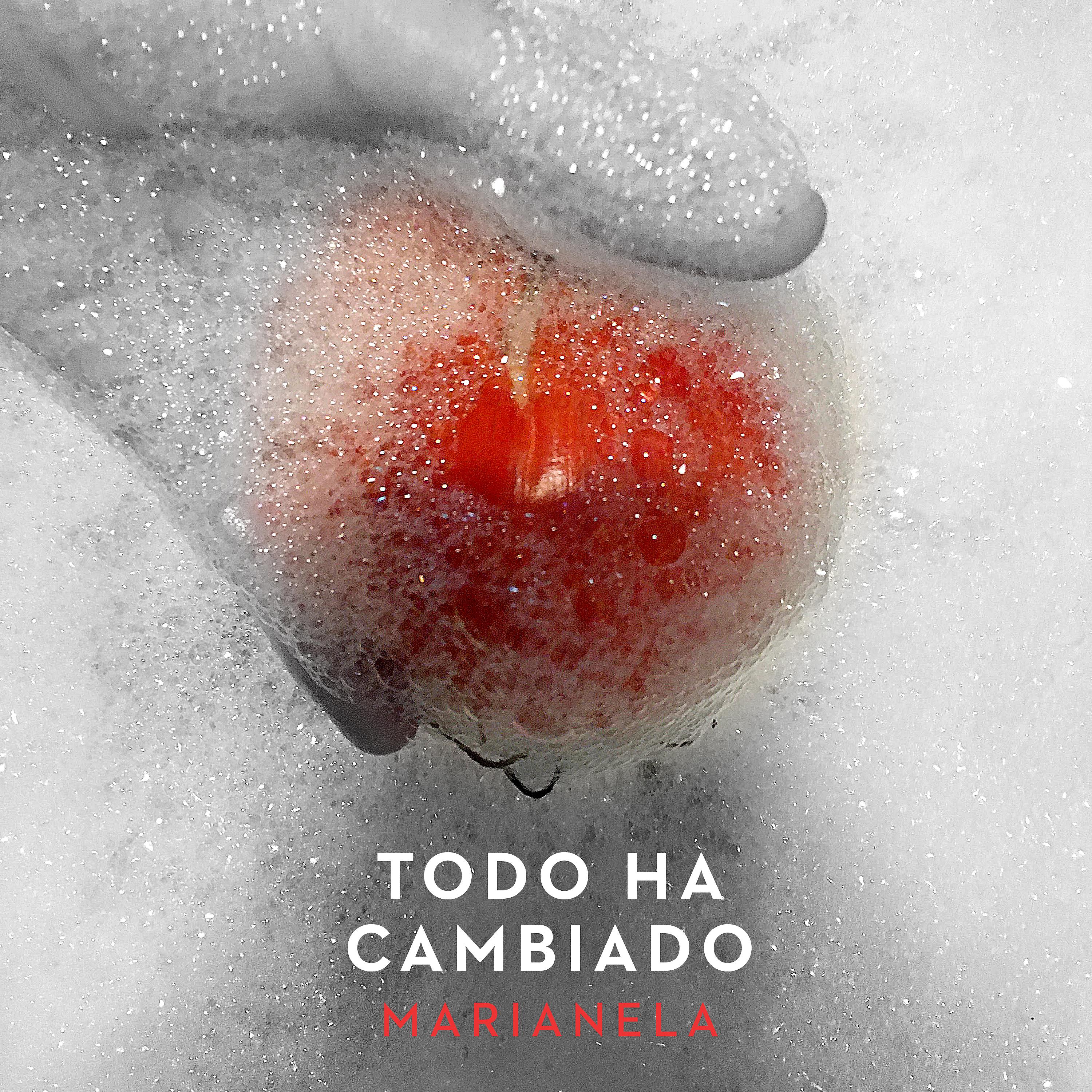 Постер альбома Todo Ha Cambiado
