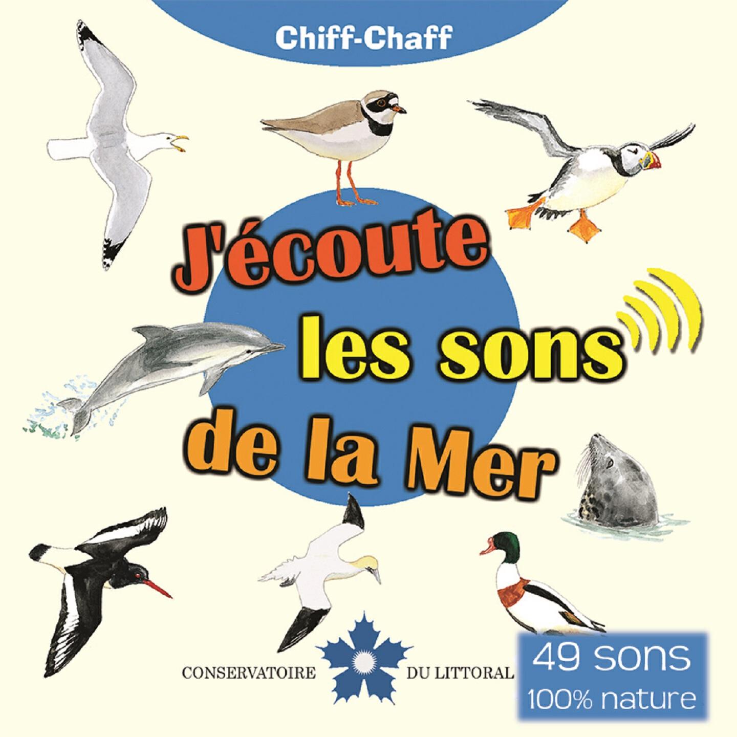 Chiff-Chaff - Pingouin torda