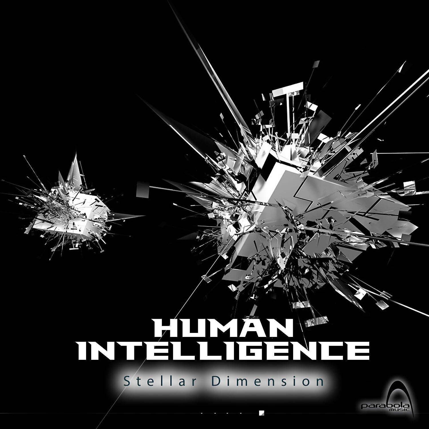 Human Intelligence - Multidimensional