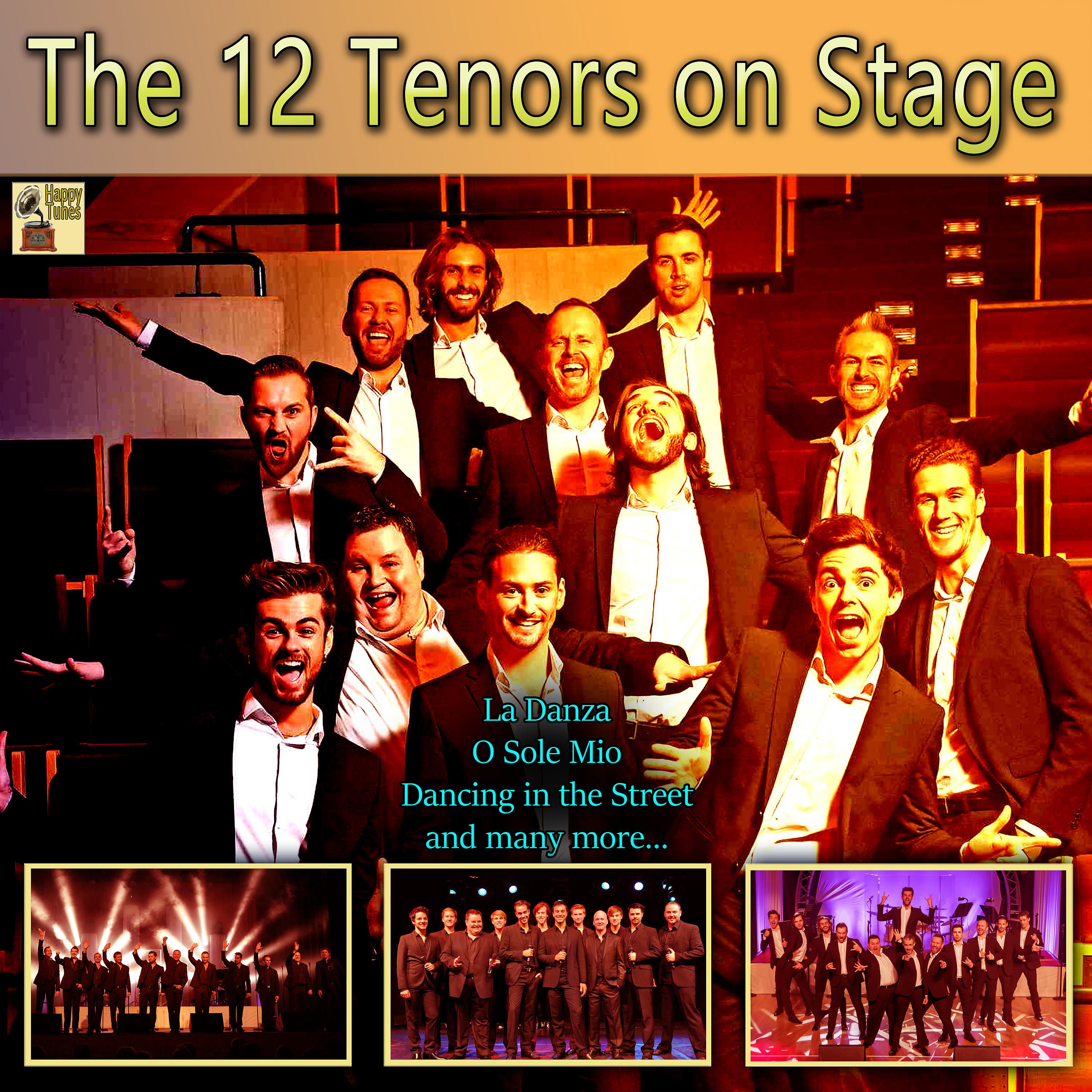 Постер альбома The 12 Tenors on Stage