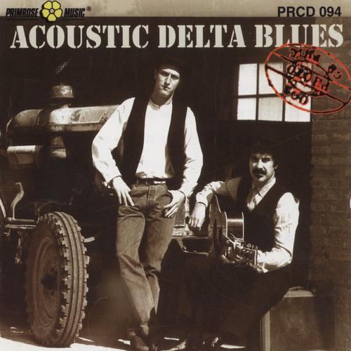 Постер альбома Acoustic Delta Blues