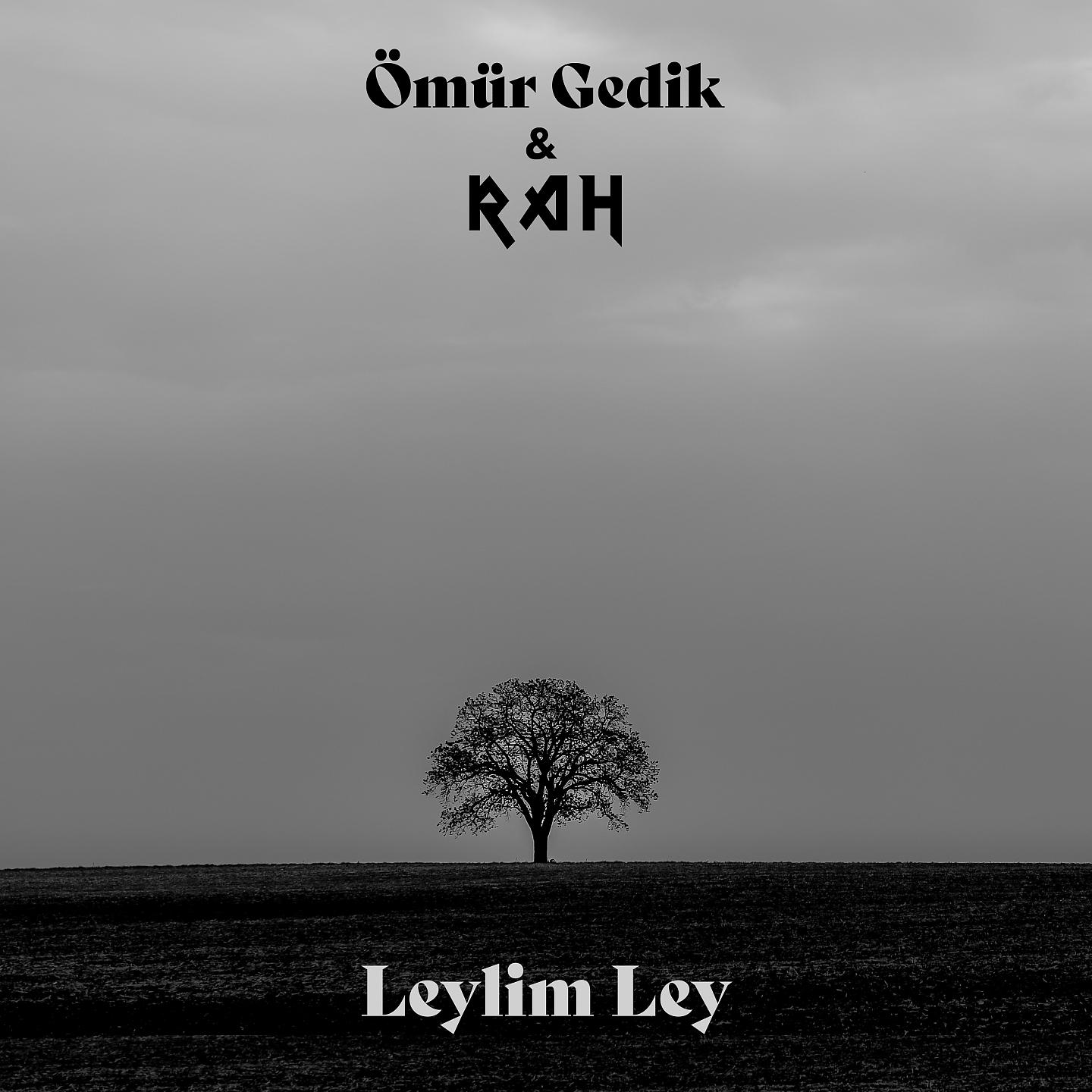 Постер альбома Leylim Ley