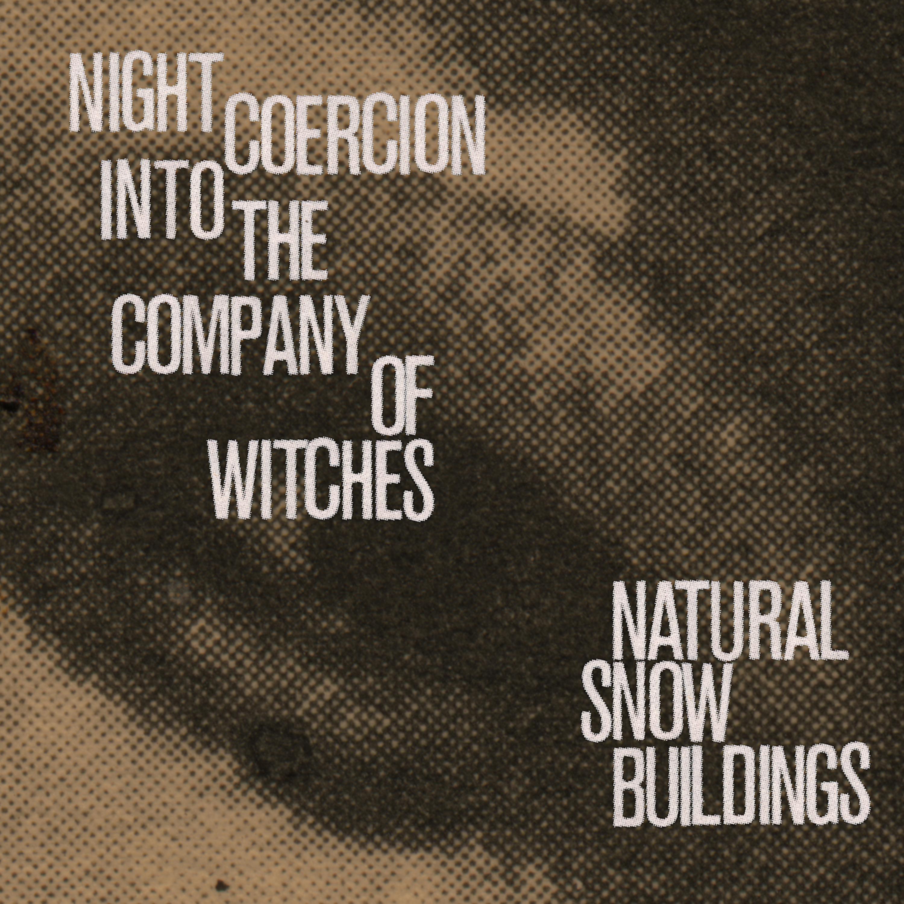Постер альбома Night Coercion into the Company of Witches