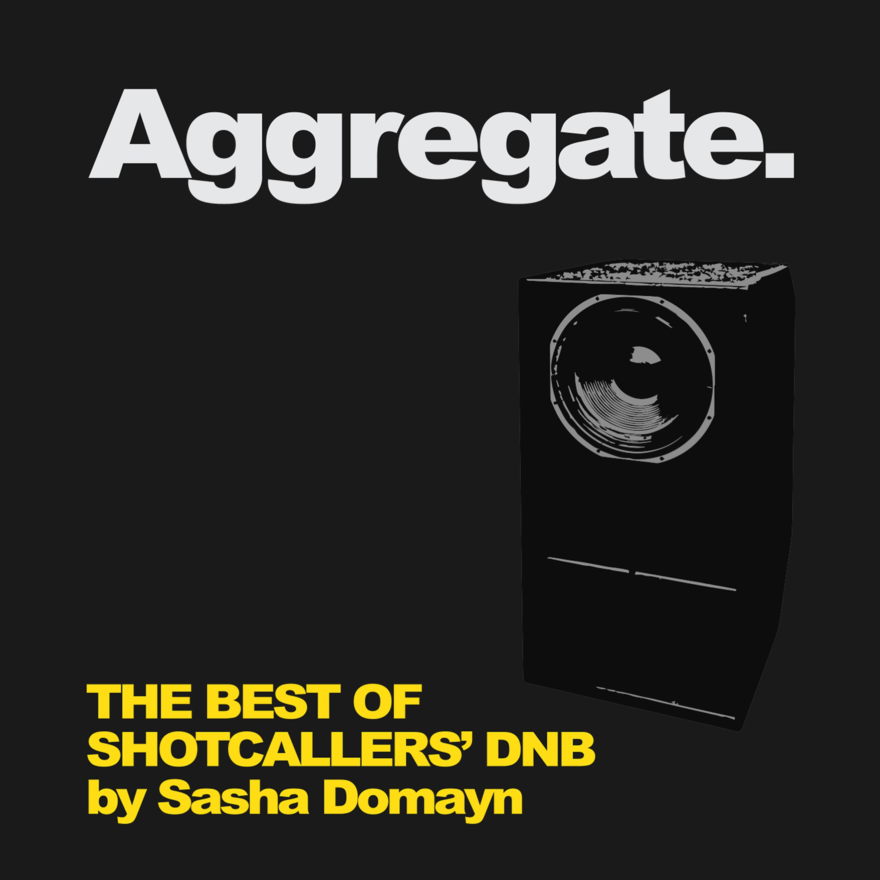 Постер альбома Aggregate - The Best of Shotcallers' Dnb