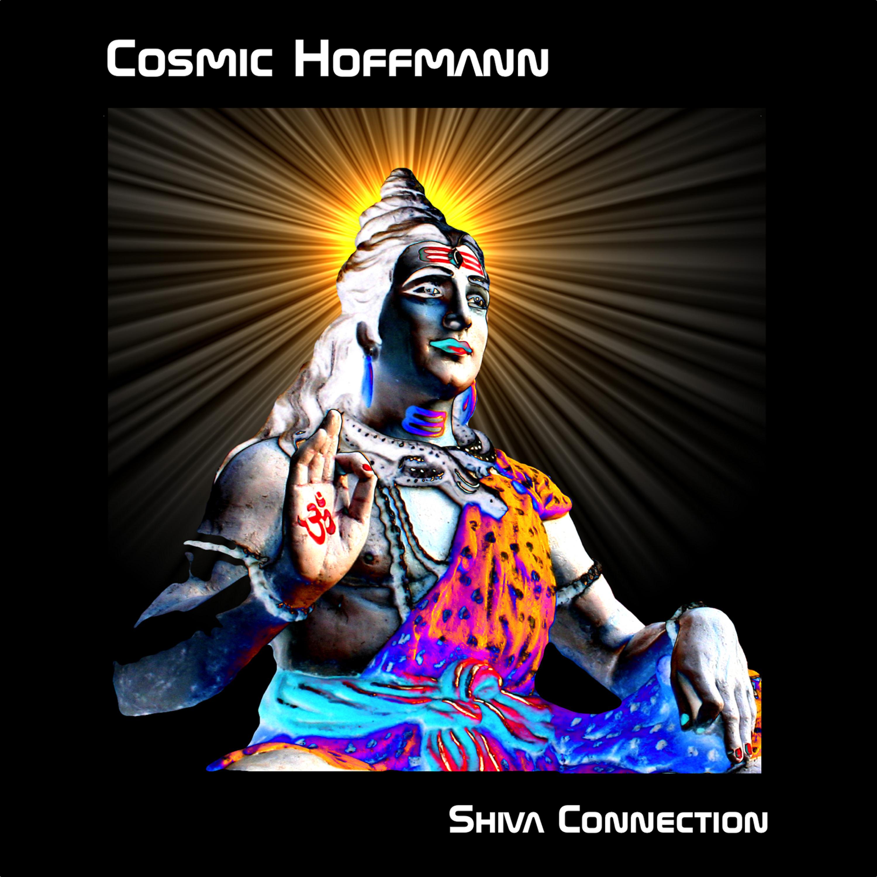 Постер альбома Shiva Connections
