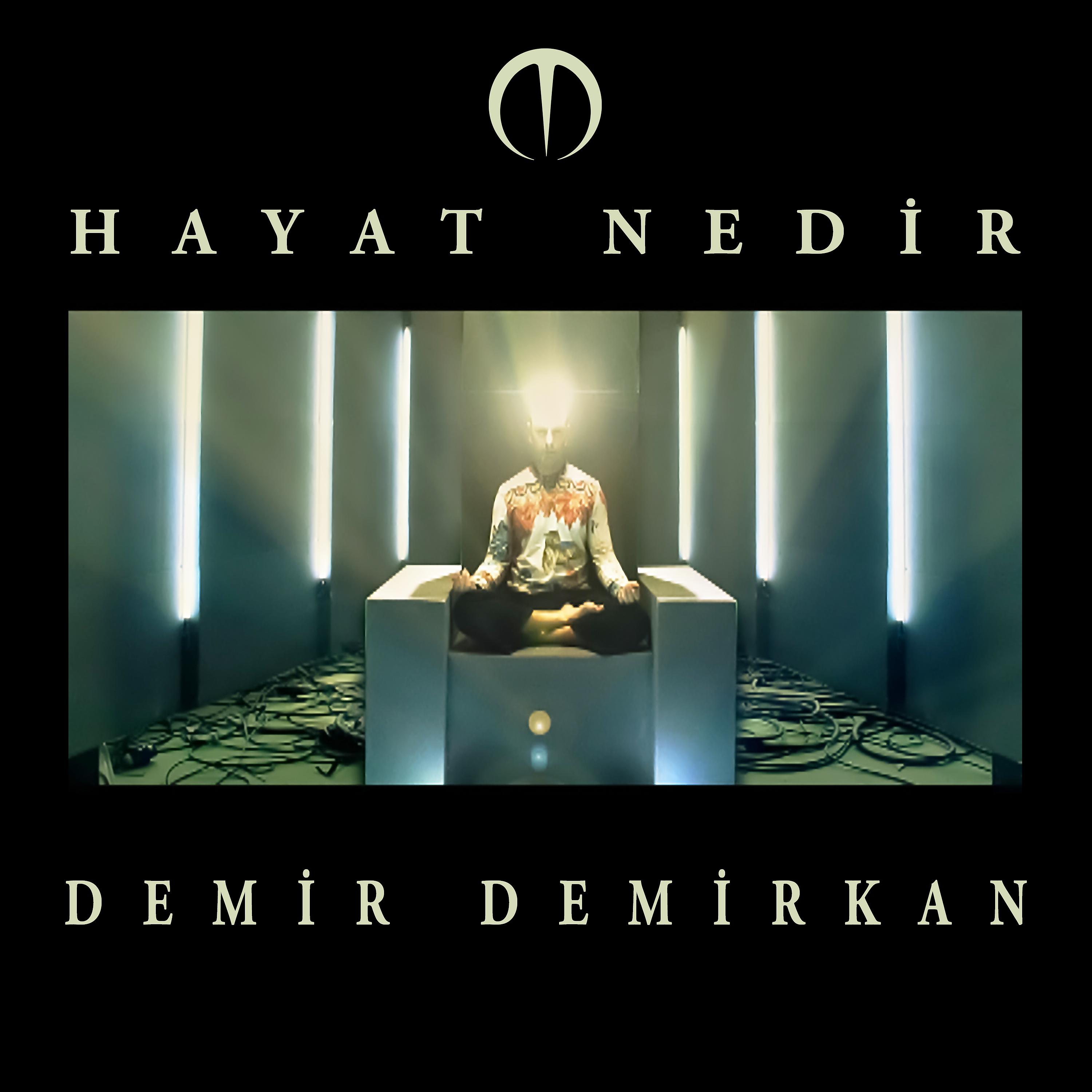 Постер альбома Hayat Nedir