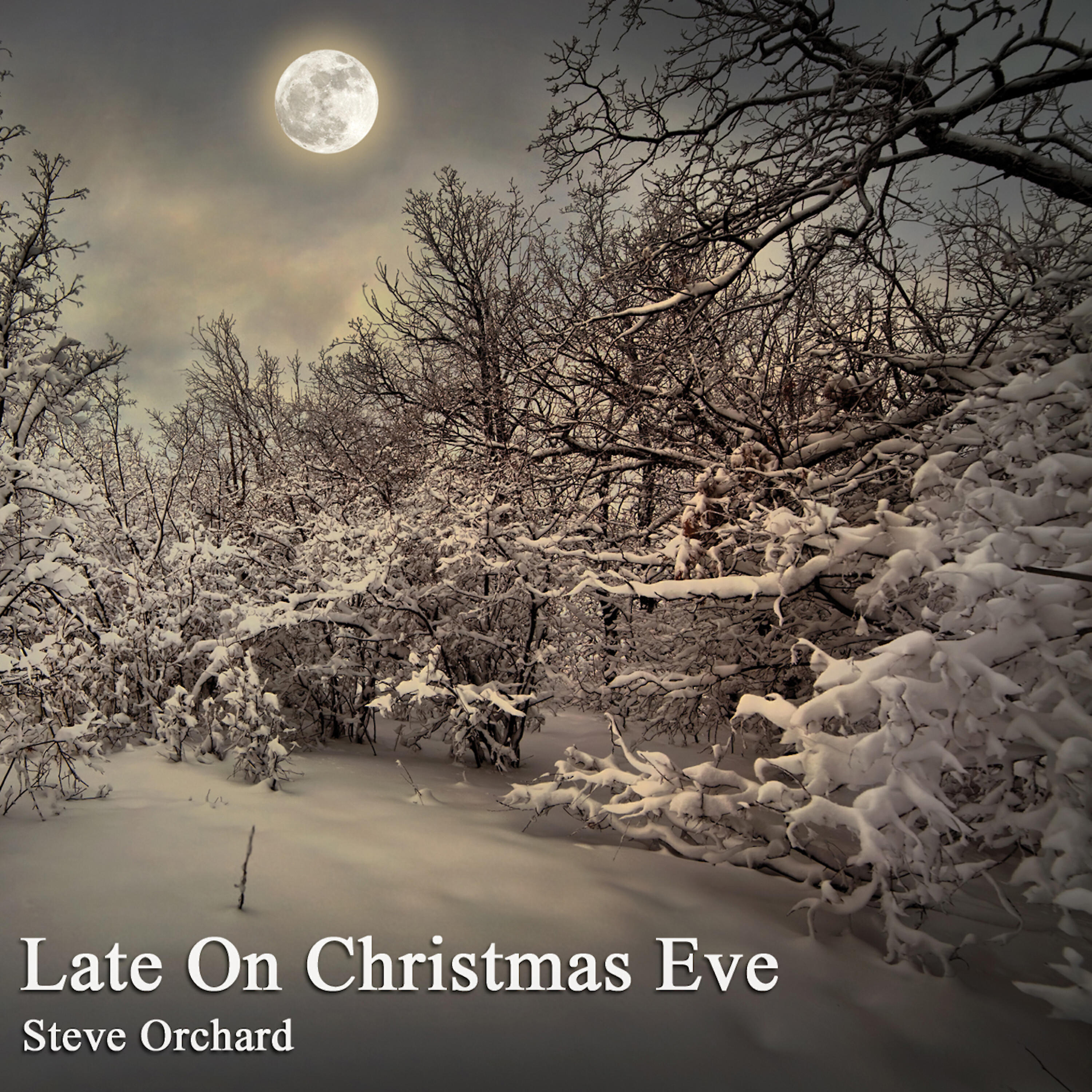 Steve Orchard - Embers: It Came Upon a Midnight Clear