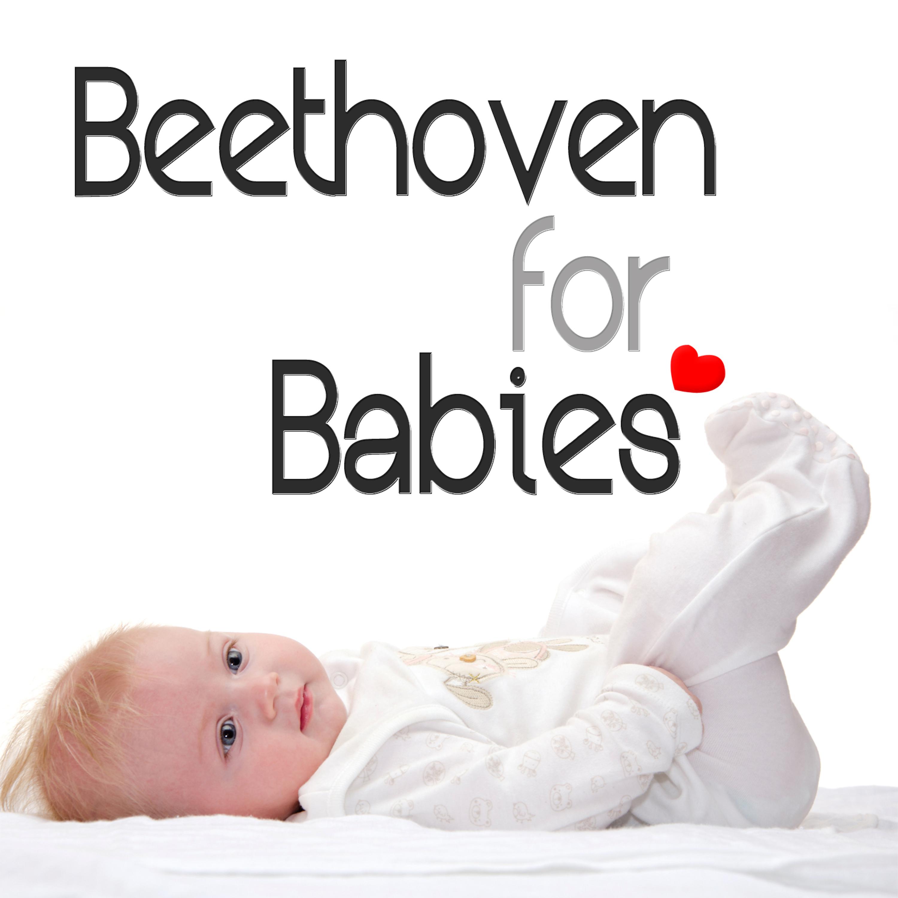 Постер альбома Beethoven for Babies