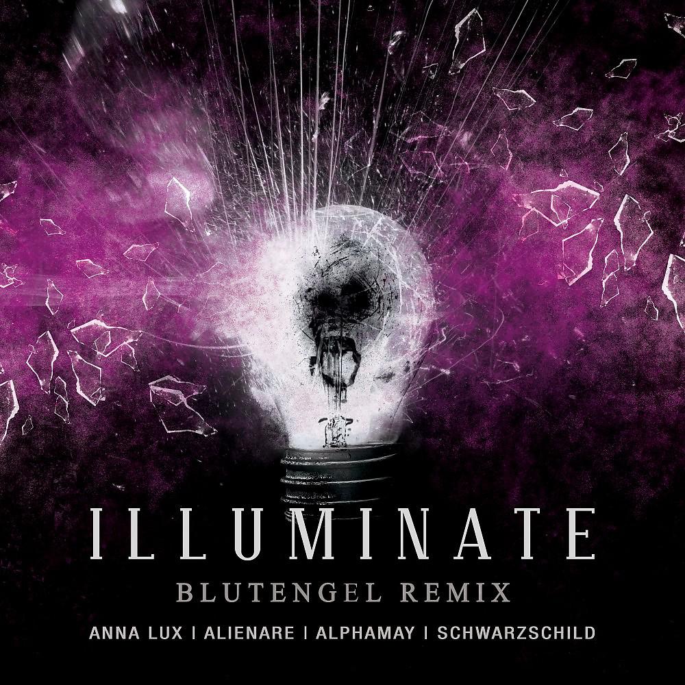 Постер альбома Illuminate (Blutengel Remix)