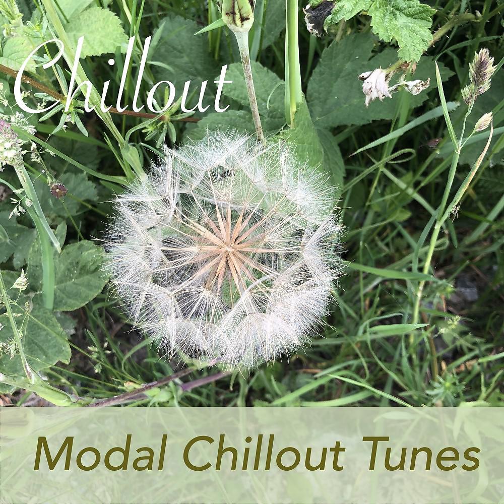 Постер альбома Modal Chillout Tunes