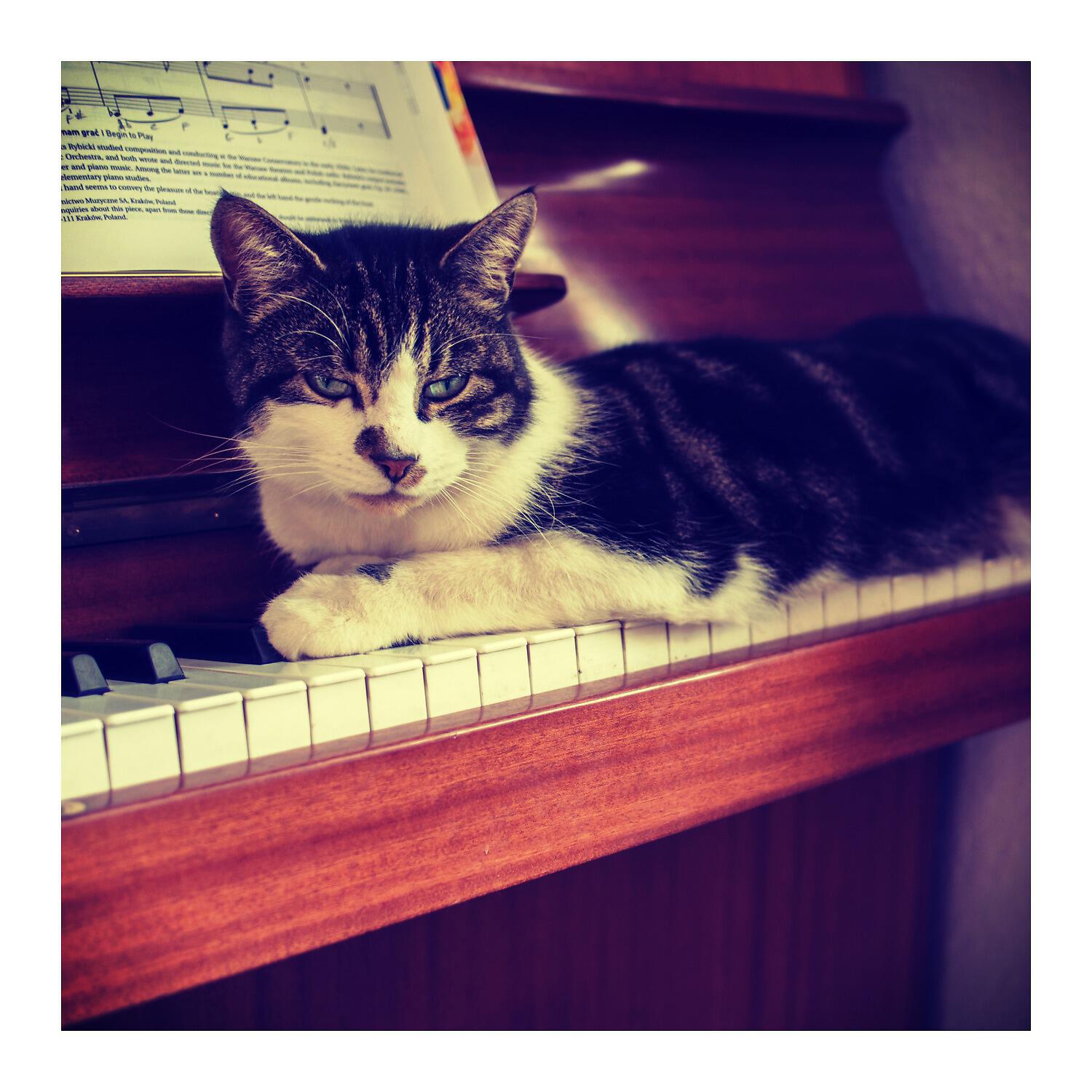 Cat Music - Deeper Minds