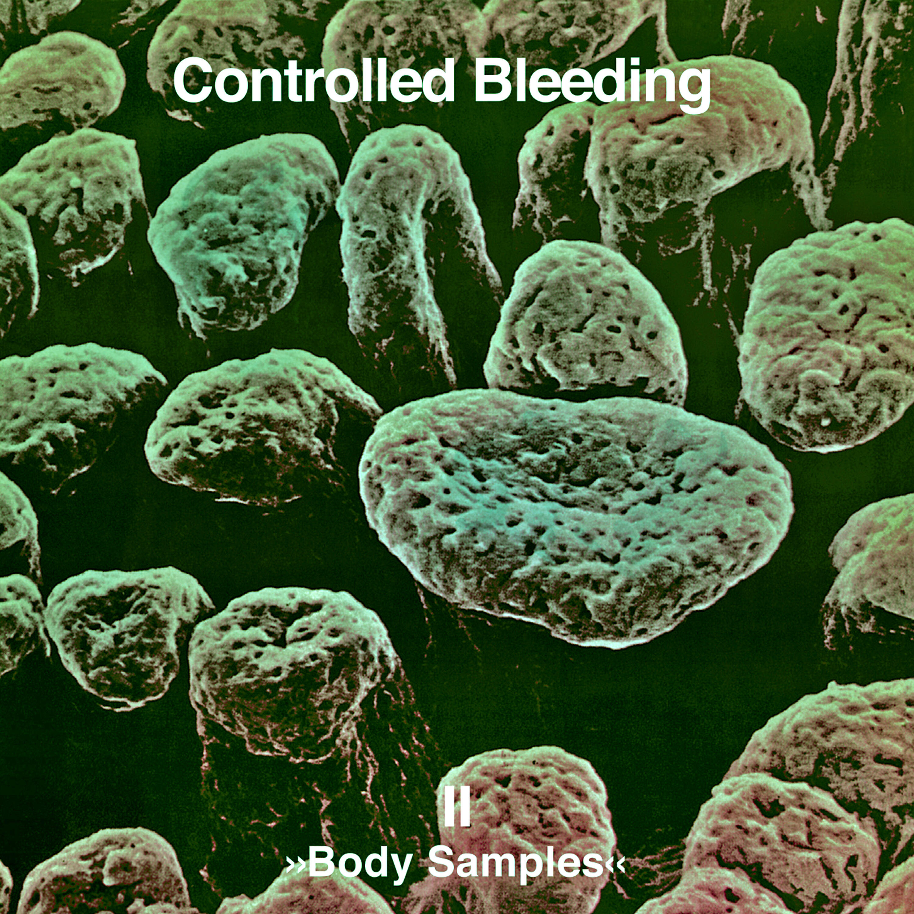 Controlled Bleeding - Hybla Killer