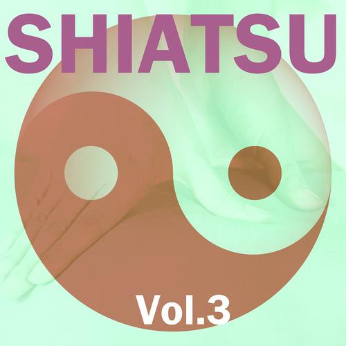 Постер альбома Shiatsu, Vol. 3