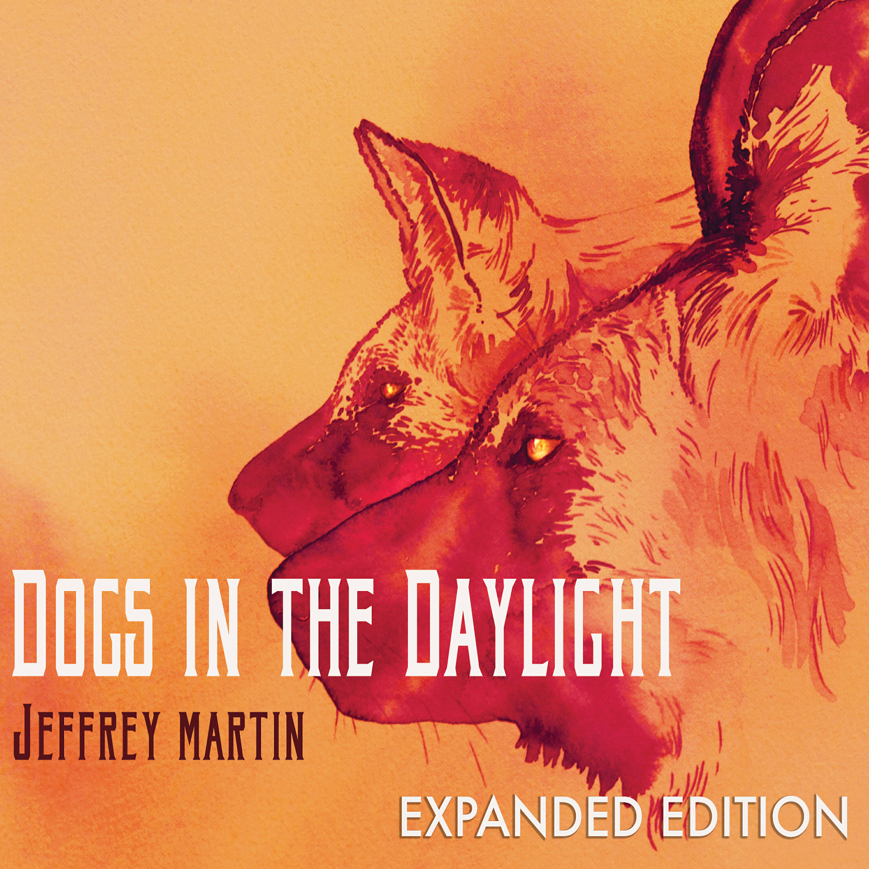 Jeffrey Martin - Wellspring