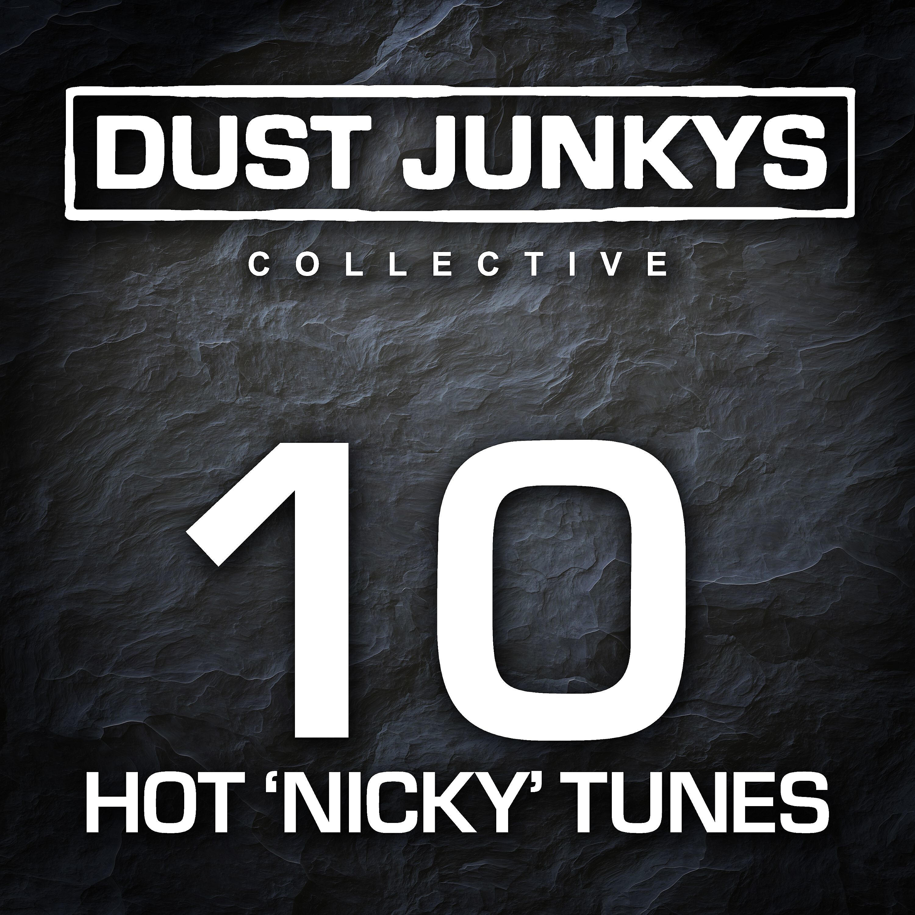 Dust Junkys Collective - Blame It on the 90s