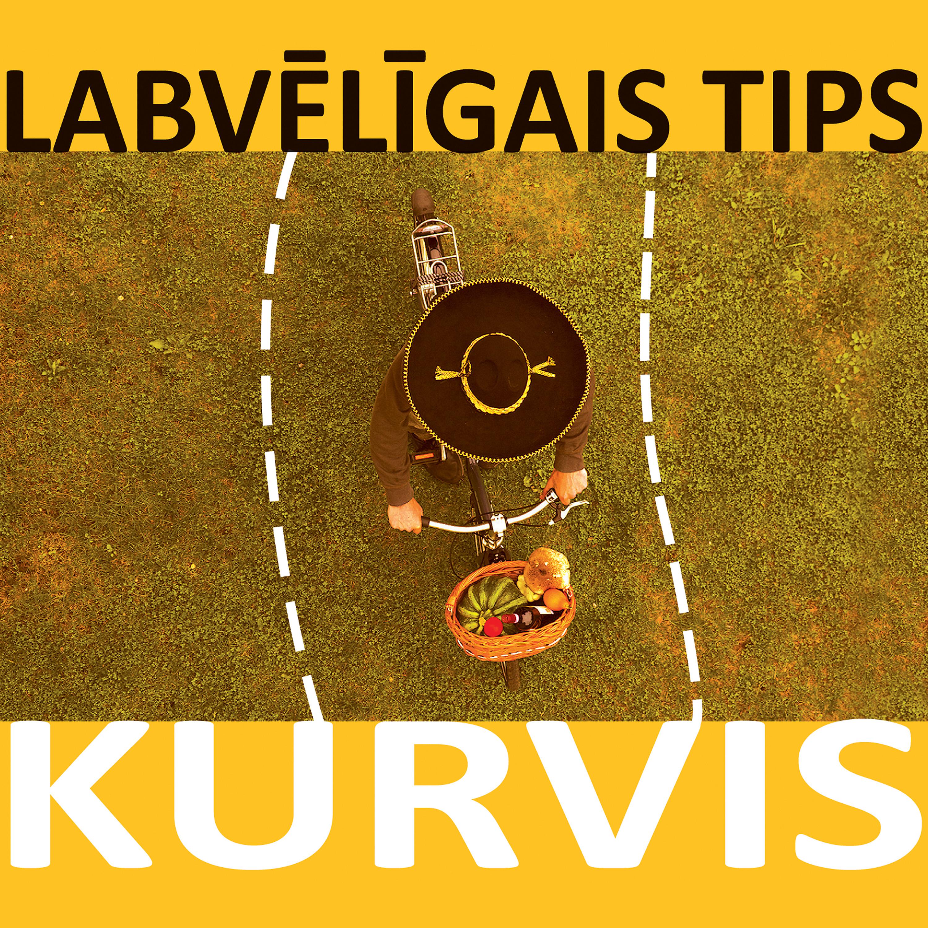 Постер альбома Kurvis