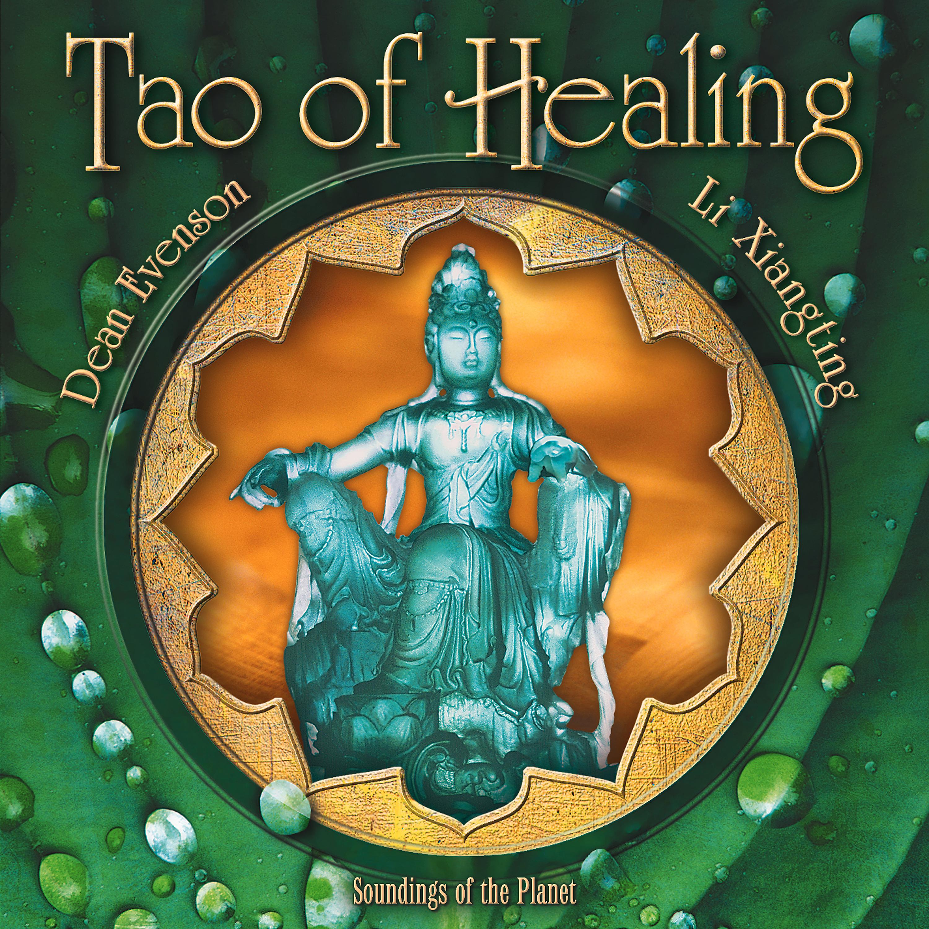 Постер альбома Tao of Healing