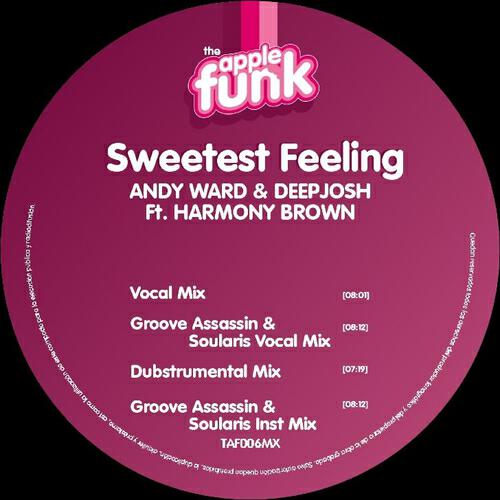 Andy Ward And Deep Josh - Sweetest Feeling (Groove Assassin & Soularis Instrumental Mix)