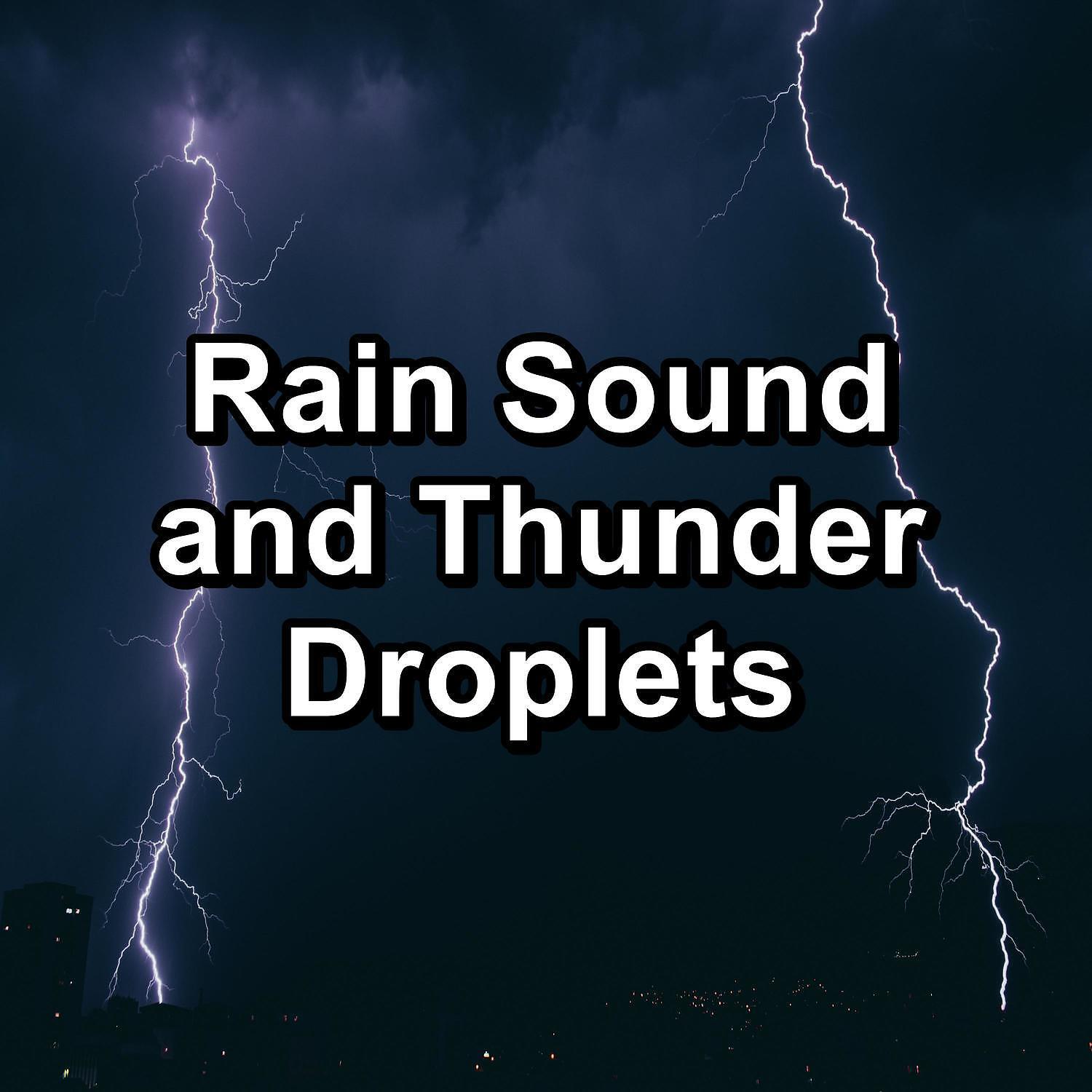 Nature Sounds - Moderate Rain and Thunder in the Rainy Forest To Repeat for 10 Hours