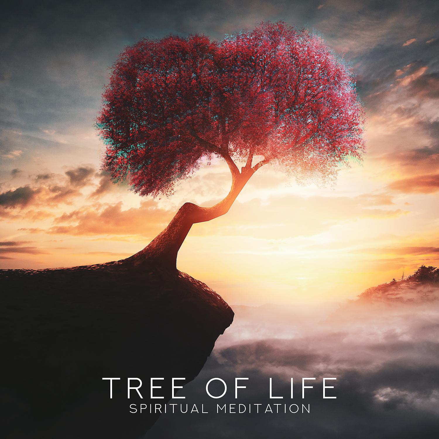 Постер альбома Tree of Life: Spiritual Meditation - Soul Reset, Return to Pure Soul, Healing Music