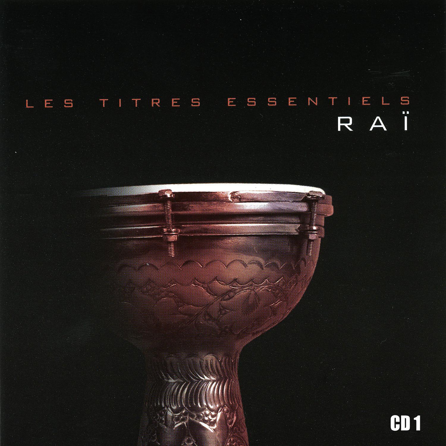 Постер альбома Les titres essentiels du raï, Vol 1 of 2