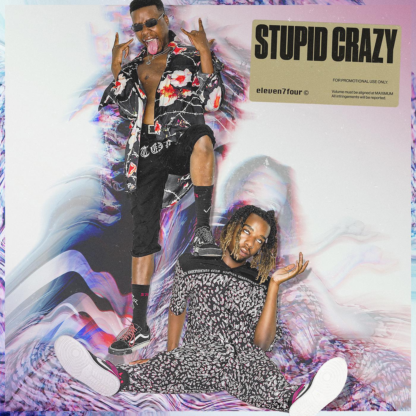 Постер альбома Stupid Crazy