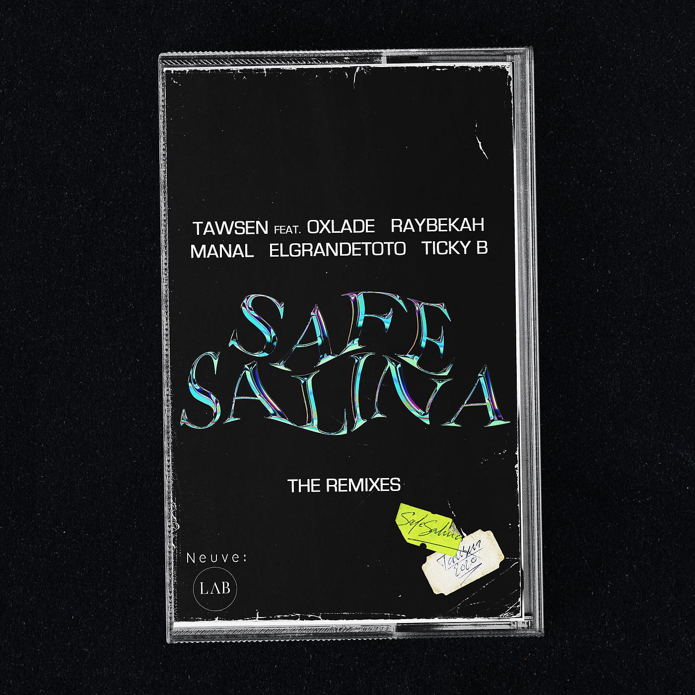 Постер альбома Safe Salina: The Remixes