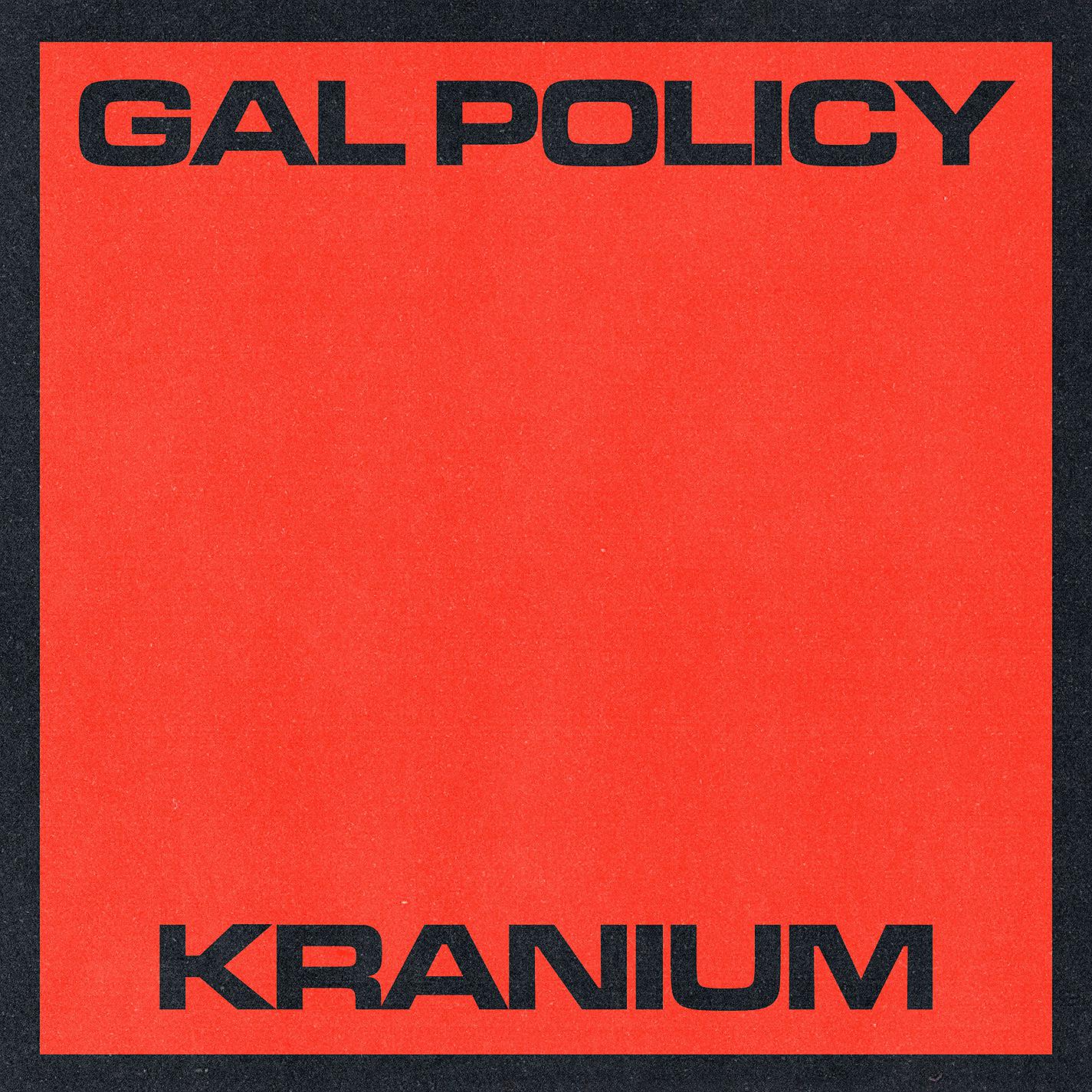 Постер альбома Gal Policy