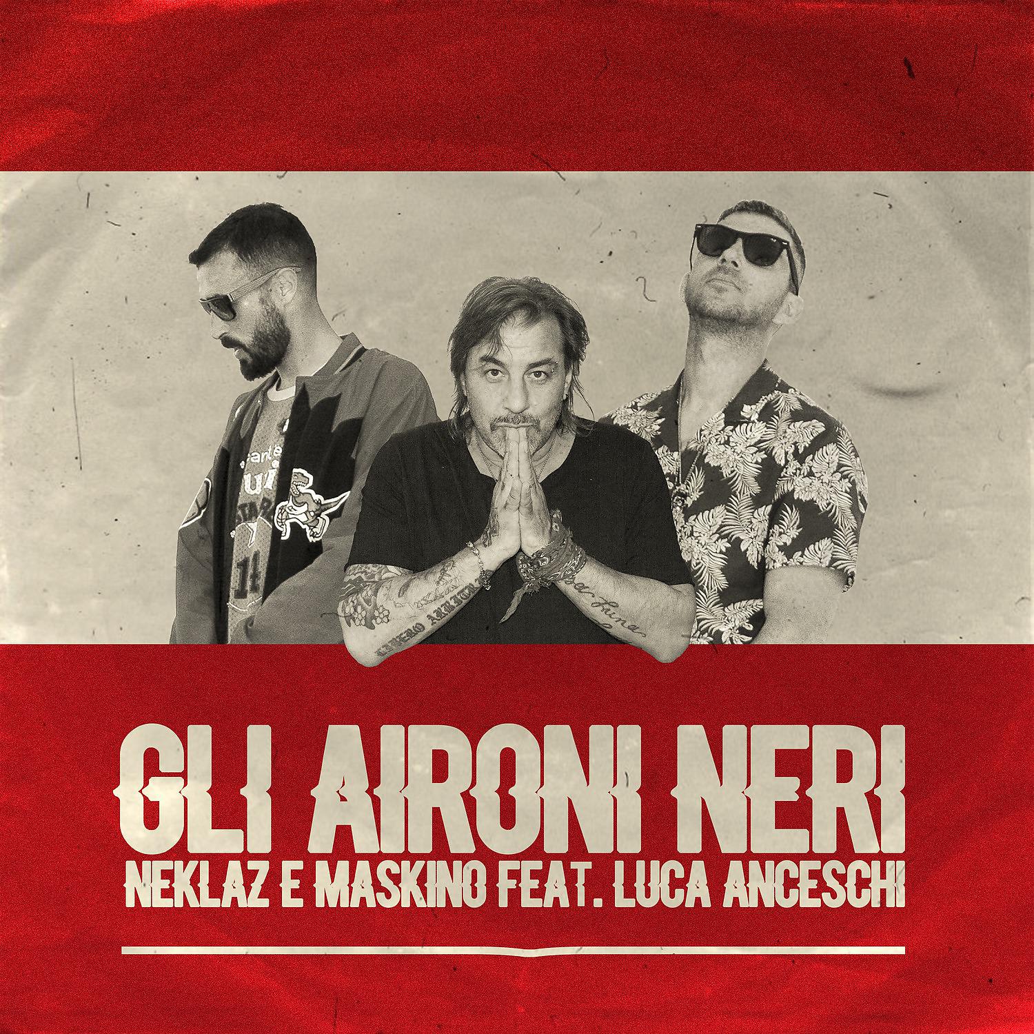 Постер альбома Gli aironi neri