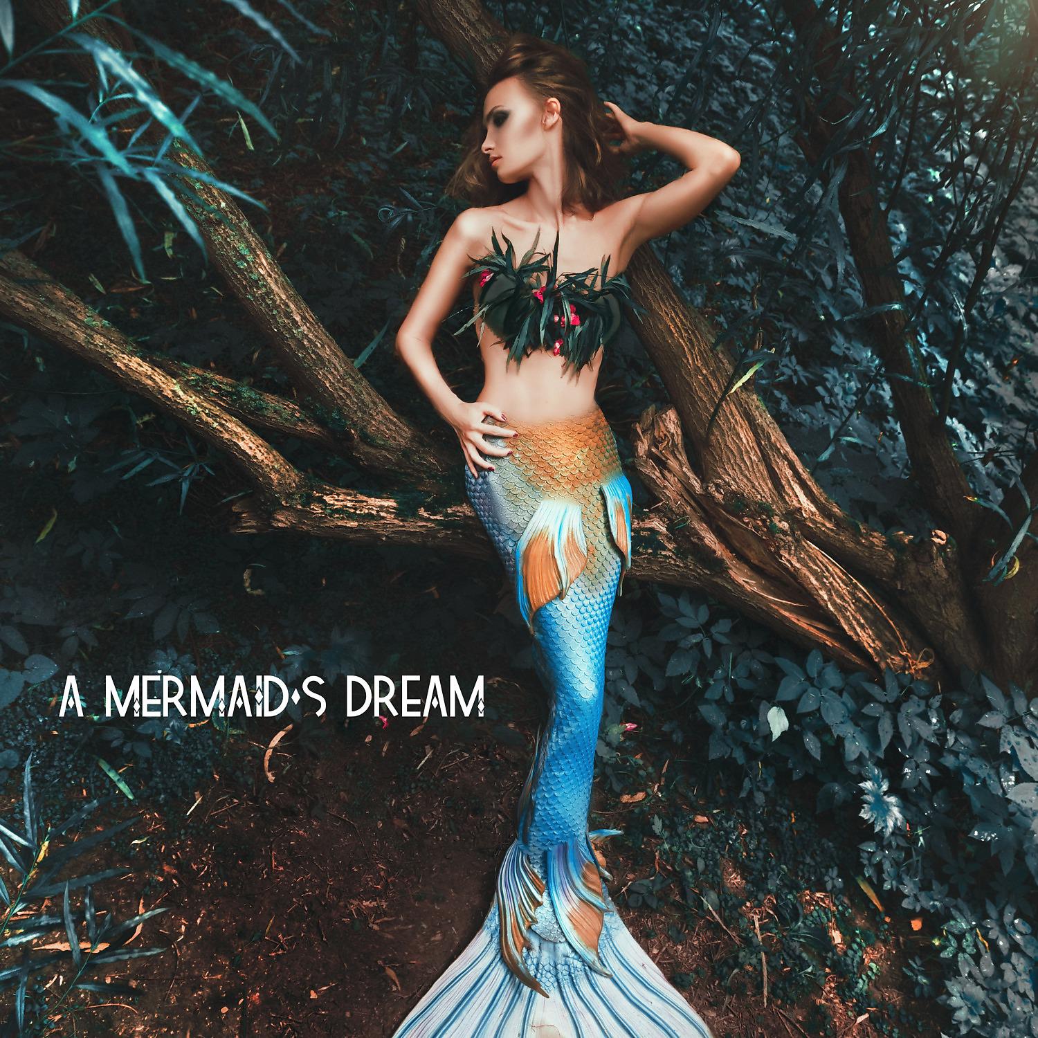 Постер альбома A Mermaid's Dream
