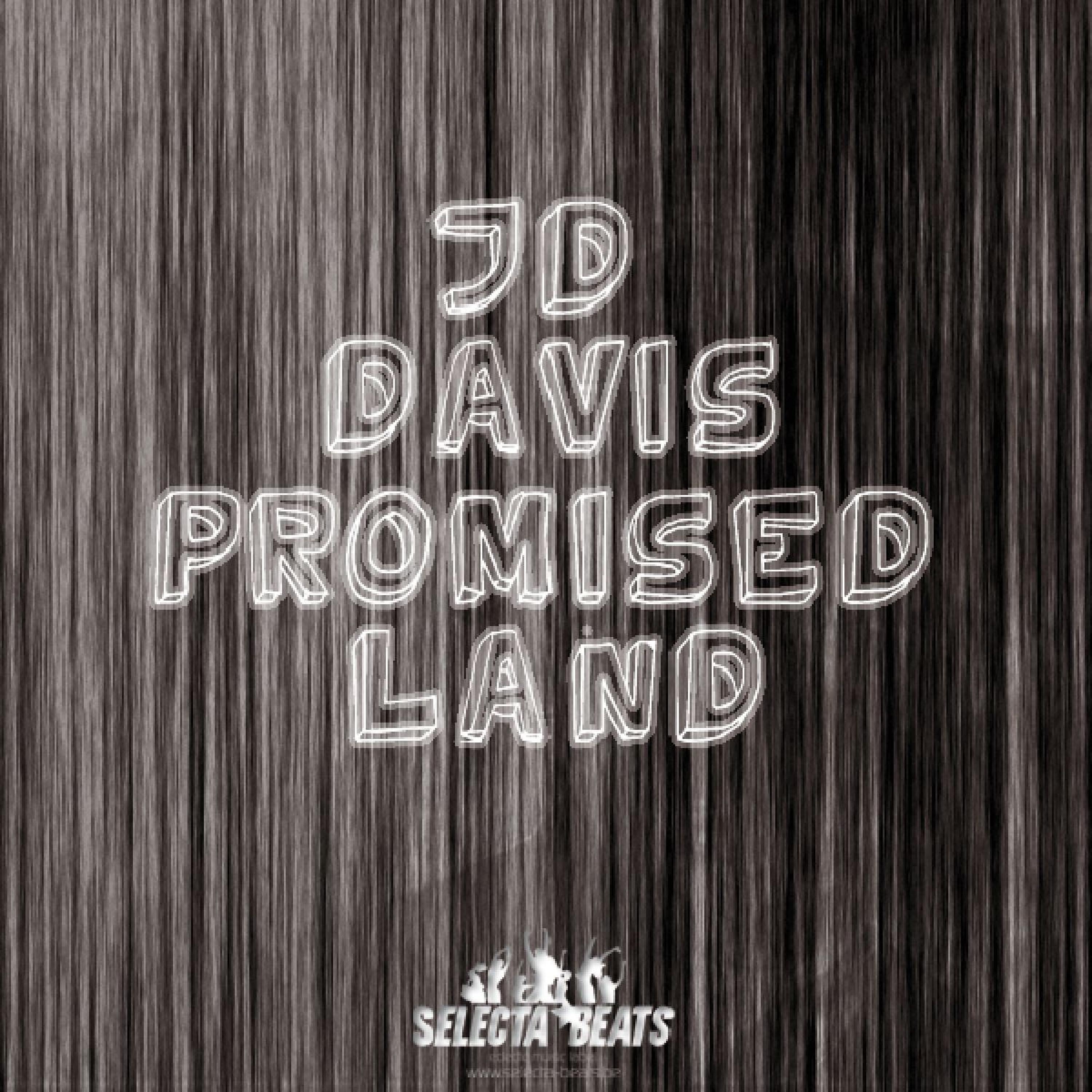 Постер альбома Promised Land 2010 (Deluxe Edition)