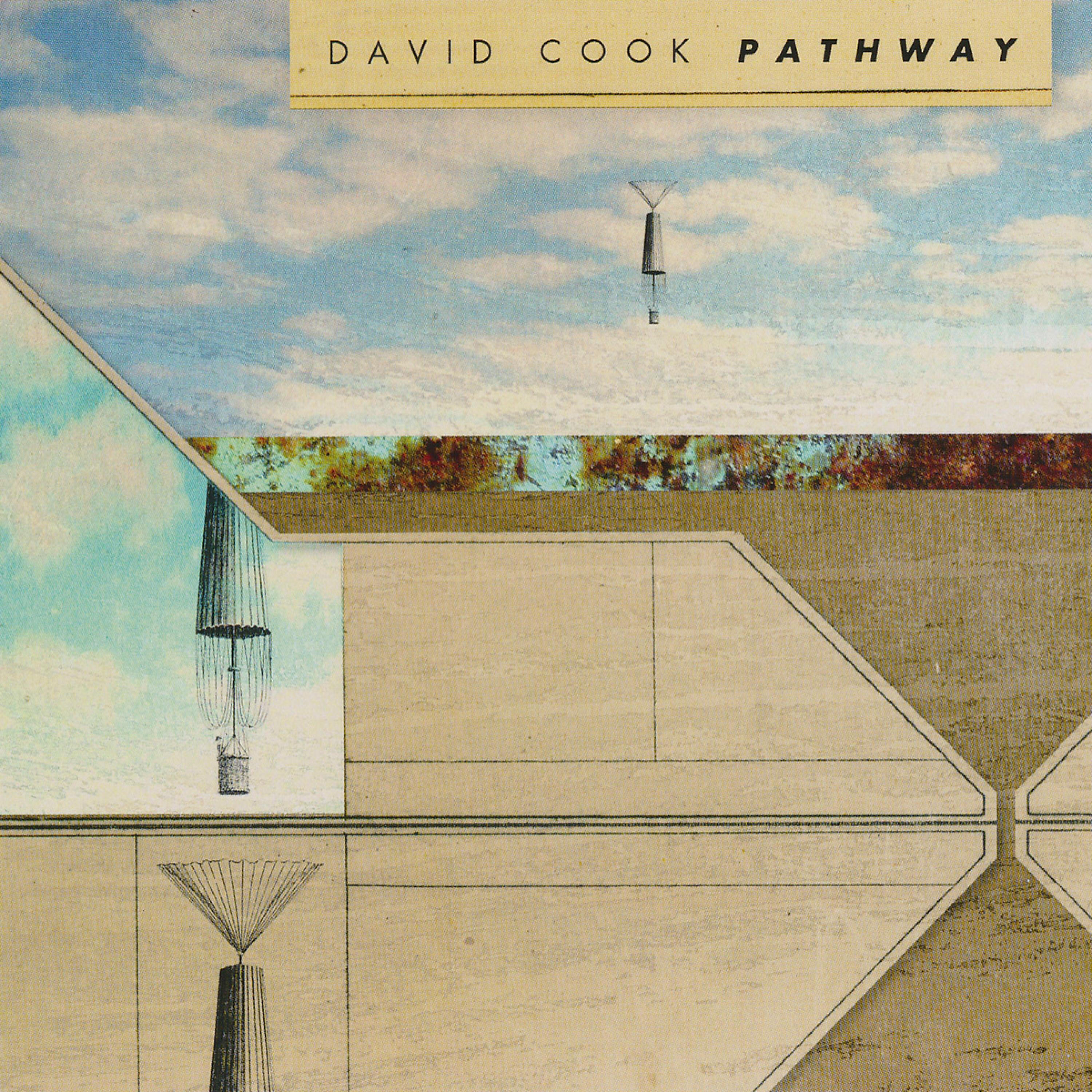 David Cook - The Meanderer