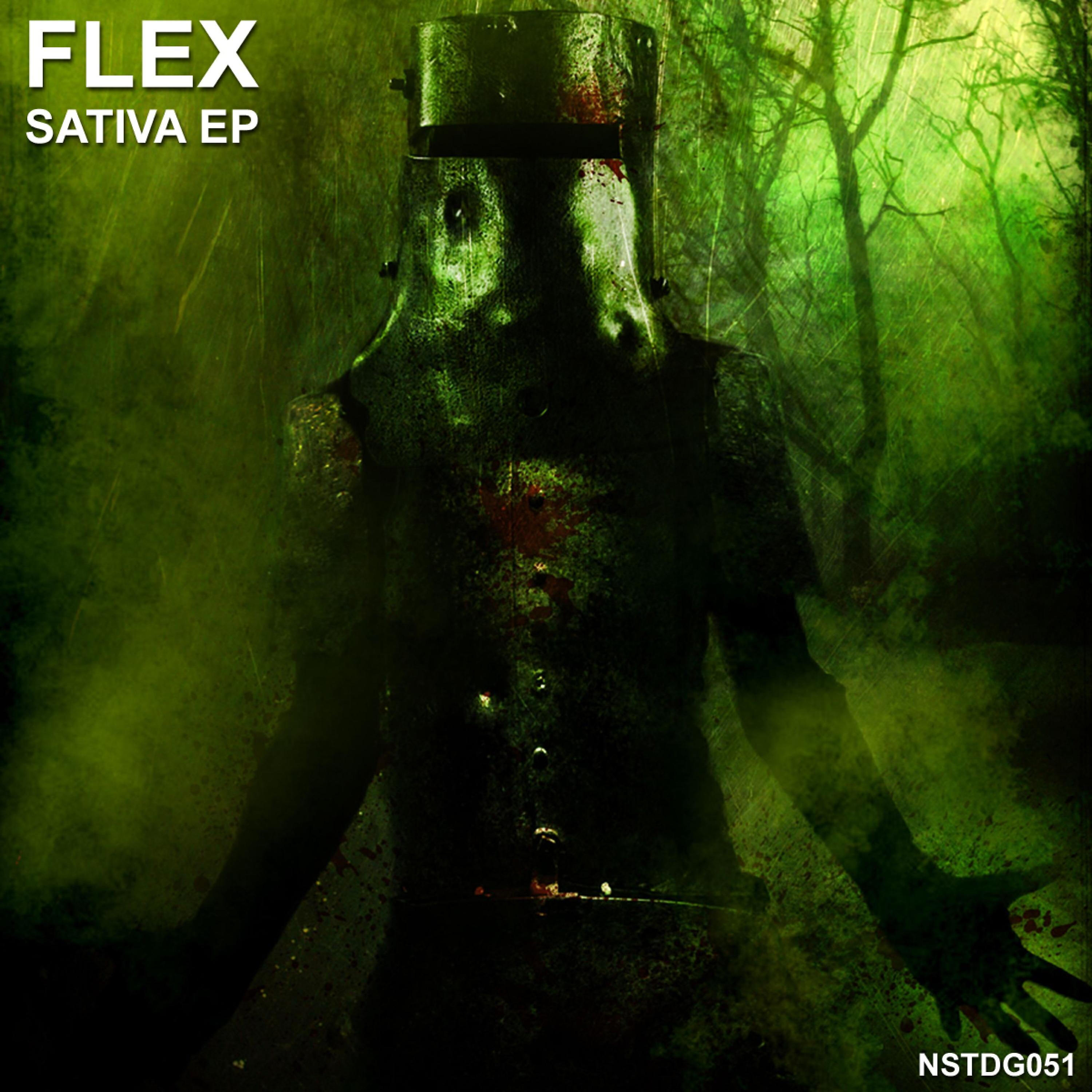FLEX - Sativa (Vegim Re-Funk)