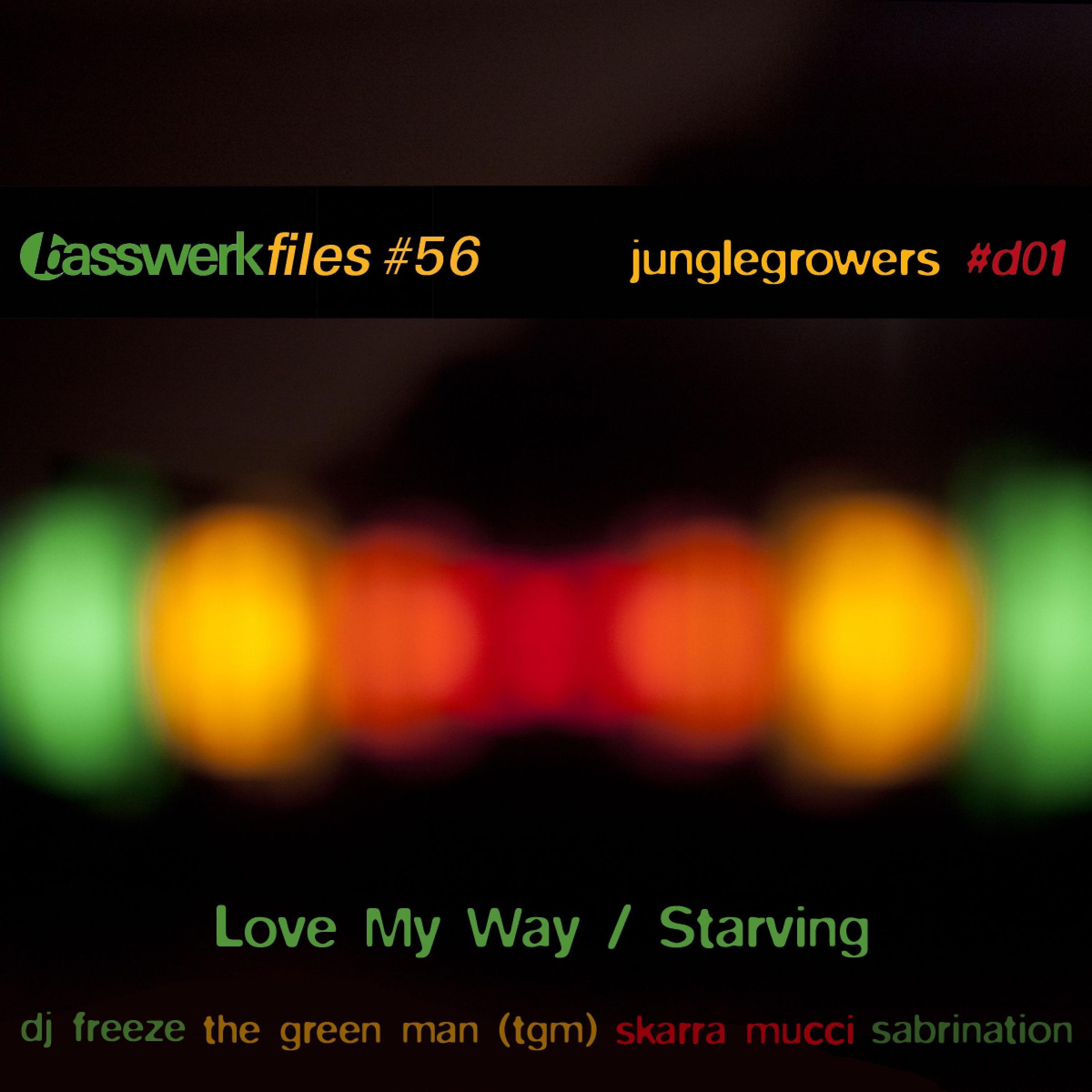 Постер альбома Basswerk Files #056 / Junglegrowers #d01