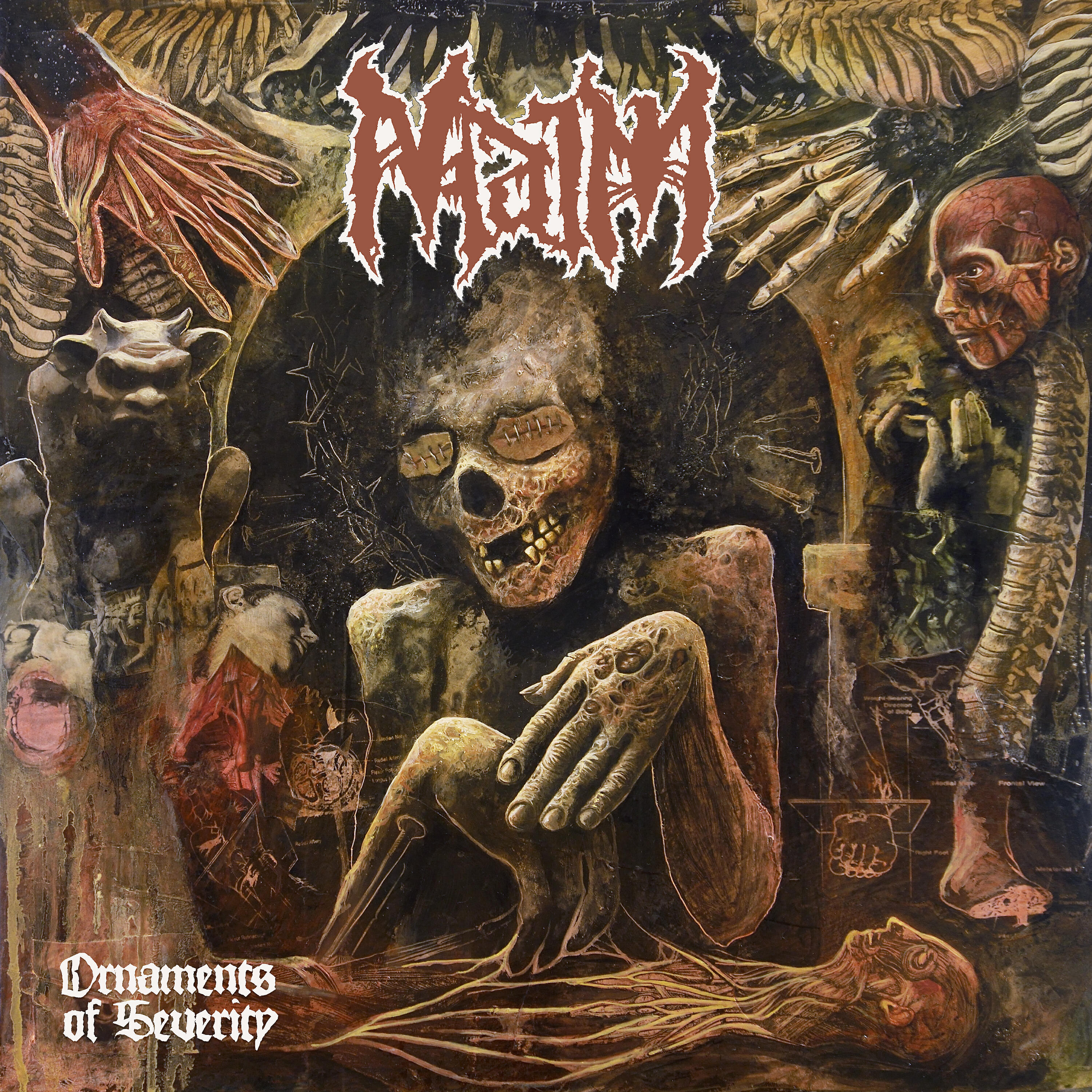 Maim - The Judas Cradle