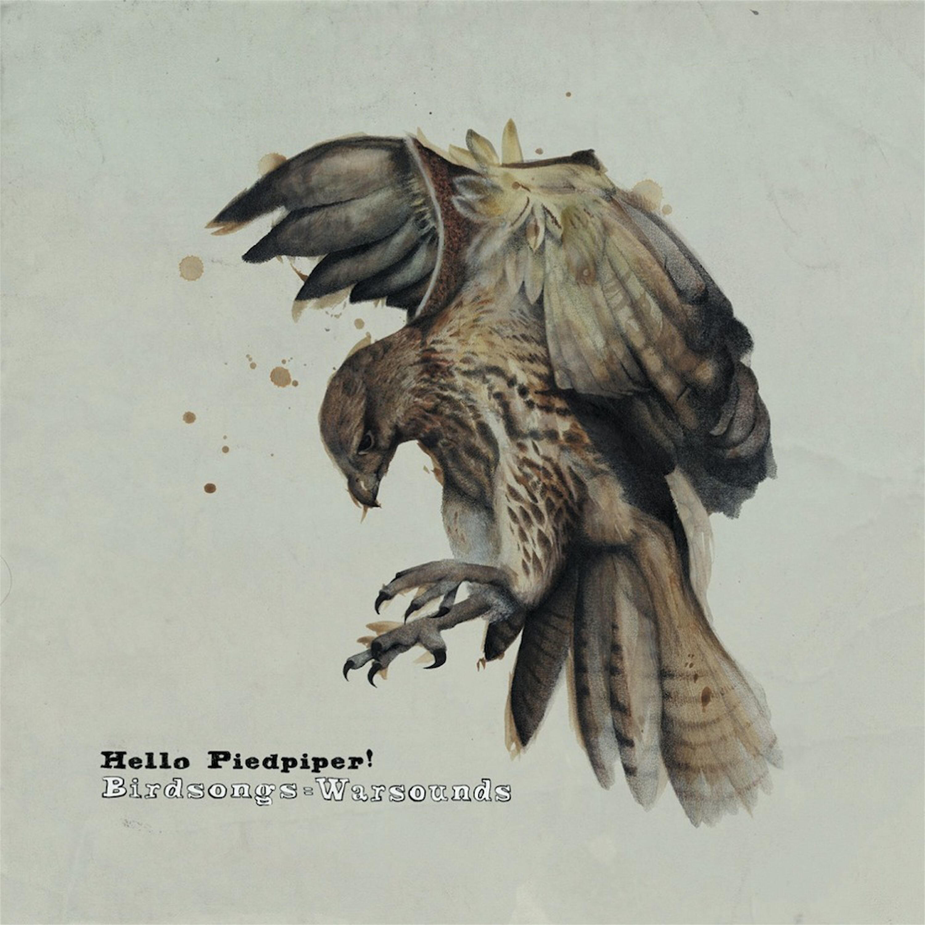 Hello Piedpiper - Not Waving but Drowning