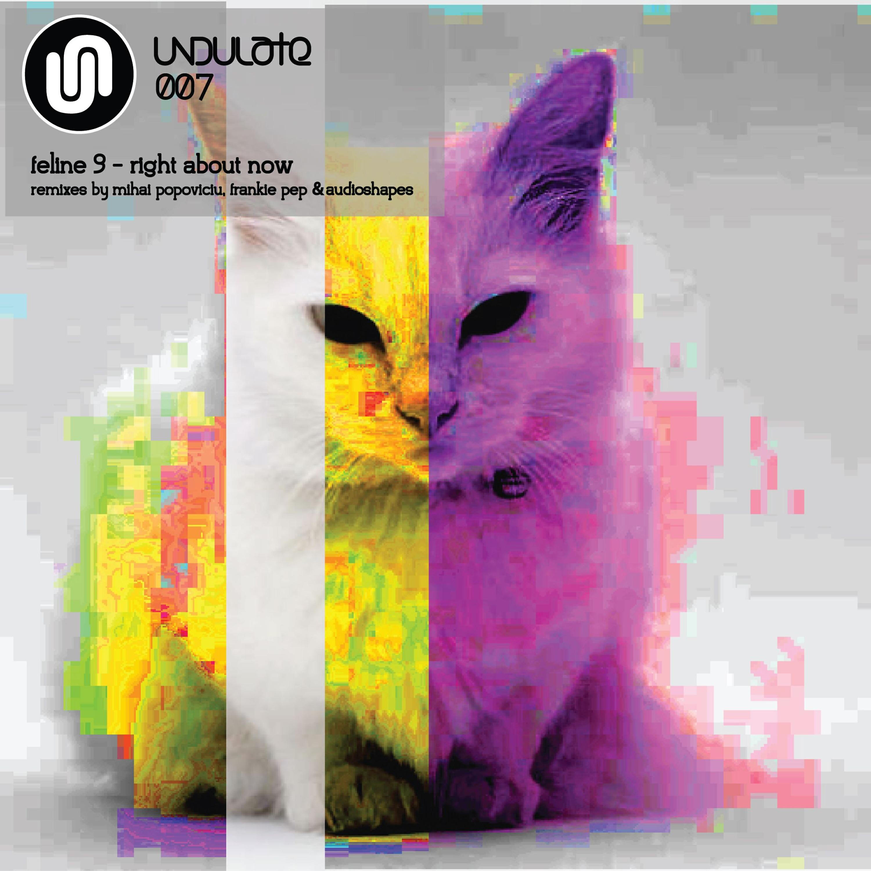 Feline 9 - Right About Now (Mihai Popoviciu Remix)